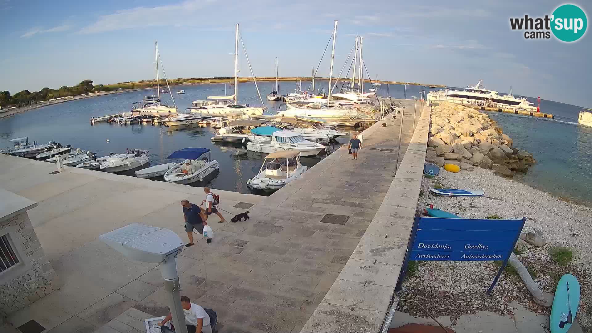 Webcam Isola di Unije – Esplora la bellezza della gemma nascosta della Croazia