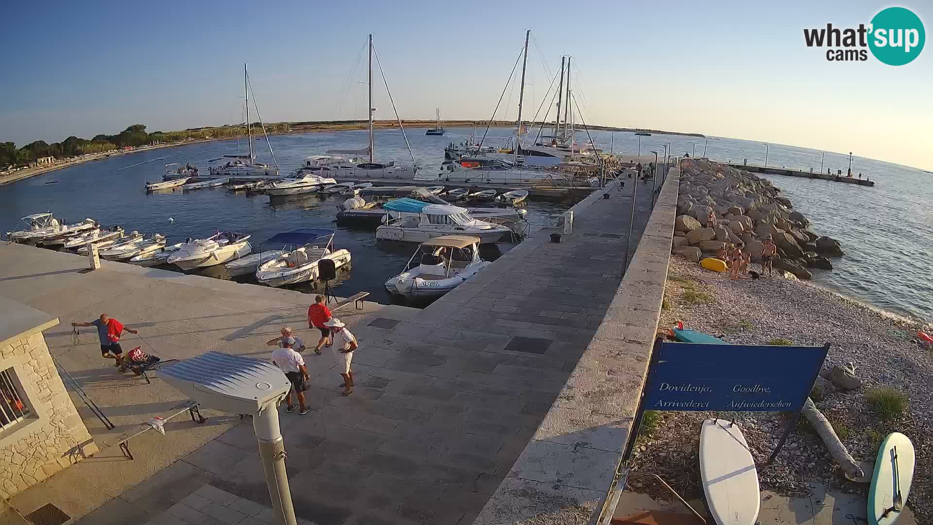 Webcam Isola di Unije – Esplora la bellezza della gemma nascosta della Croazia