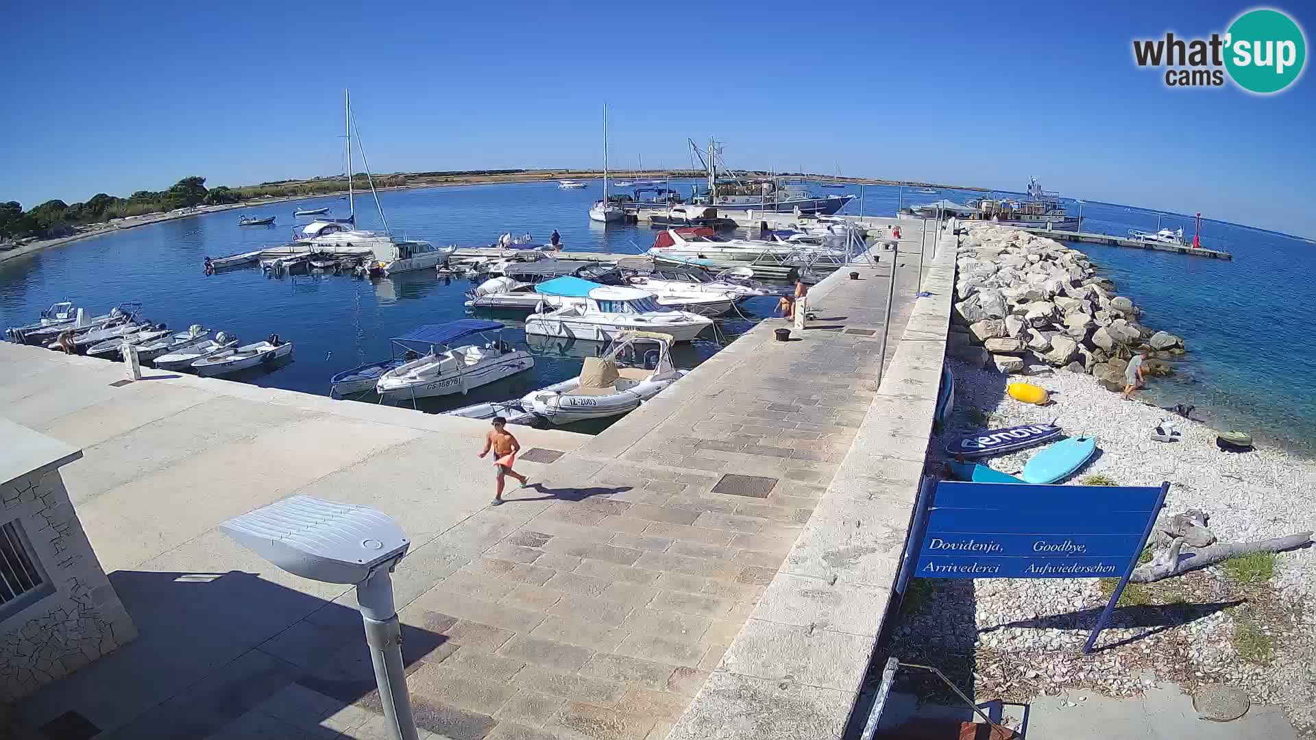 Webcam Isola di Unije – Esplora la bellezza della gemma nascosta della Croazia