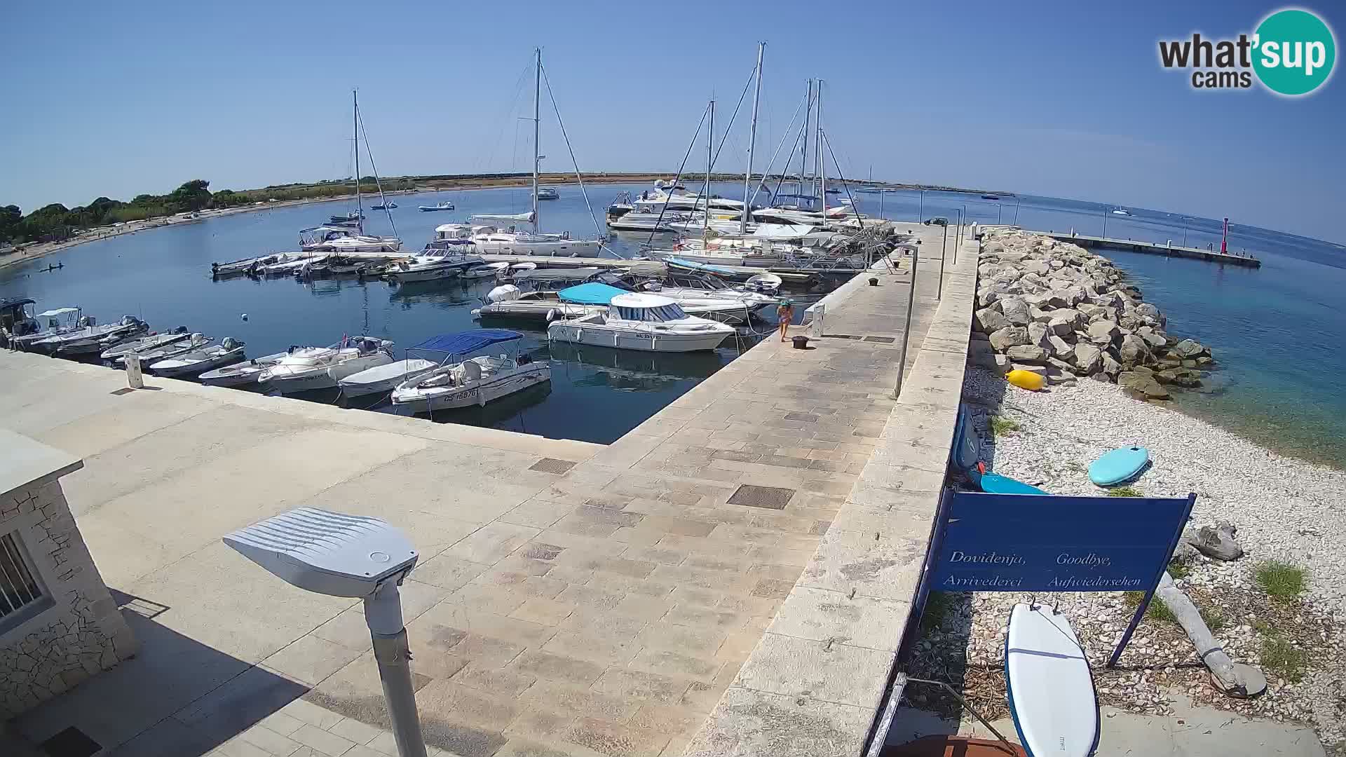 Cámara web de la isla de Unije: explore la belleza de la joya escondida de Croacia