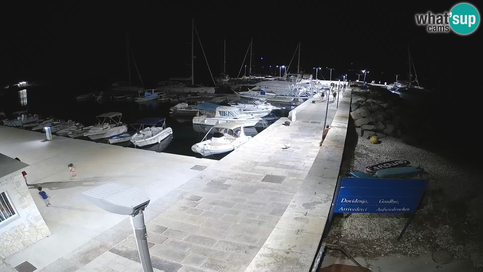 Webcam Isola di Unije – Esplora la bellezza della gemma nascosta della Croazia