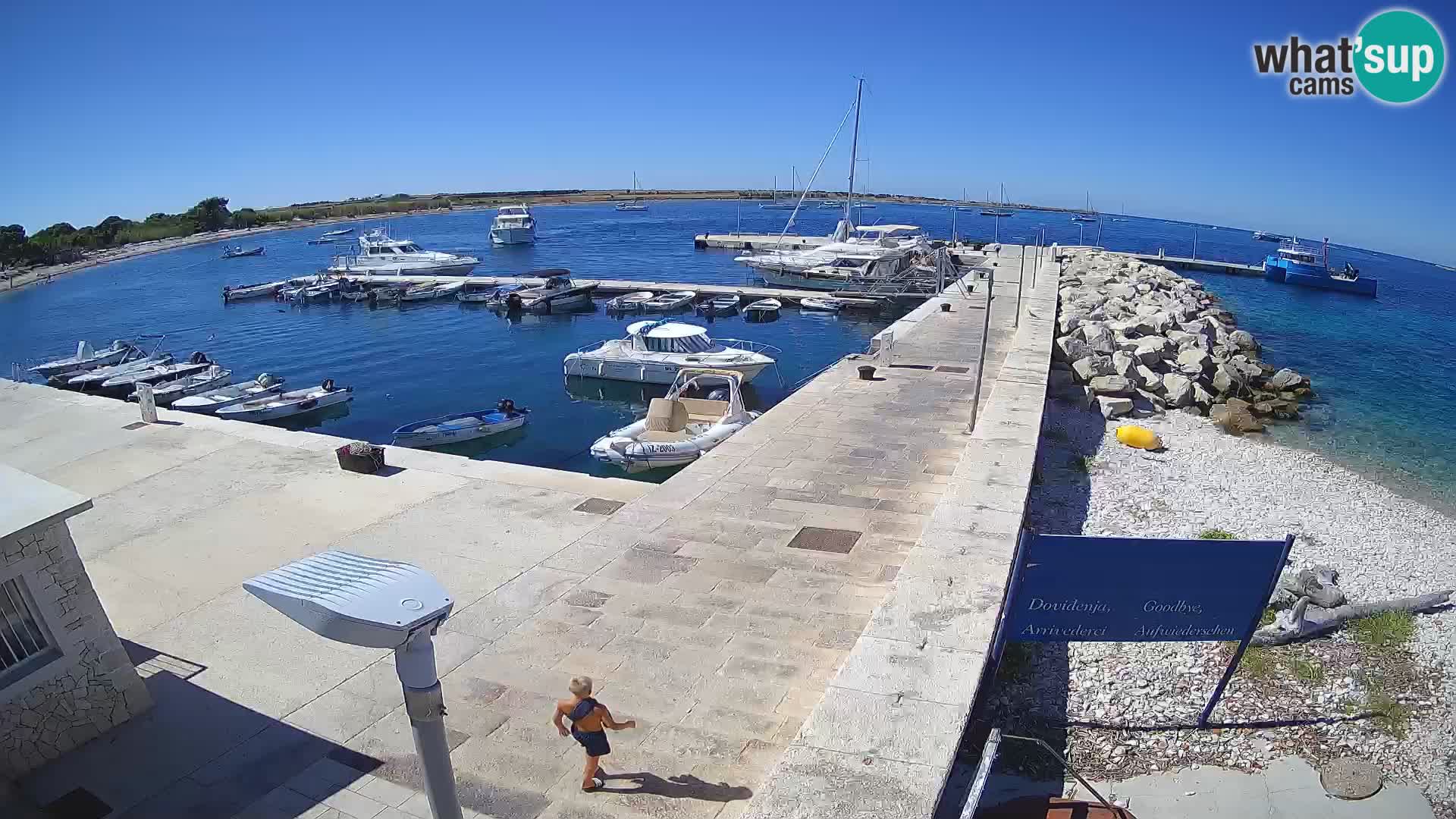 Webcam Isola di Unije – Esplora la bellezza della gemma nascosta della Croazia