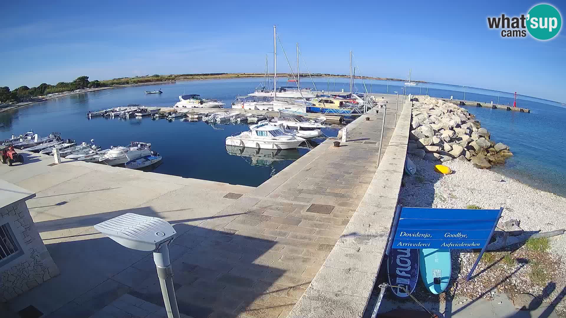 Cámara web de la isla de Unije: explore la belleza de la joya escondida de Croacia