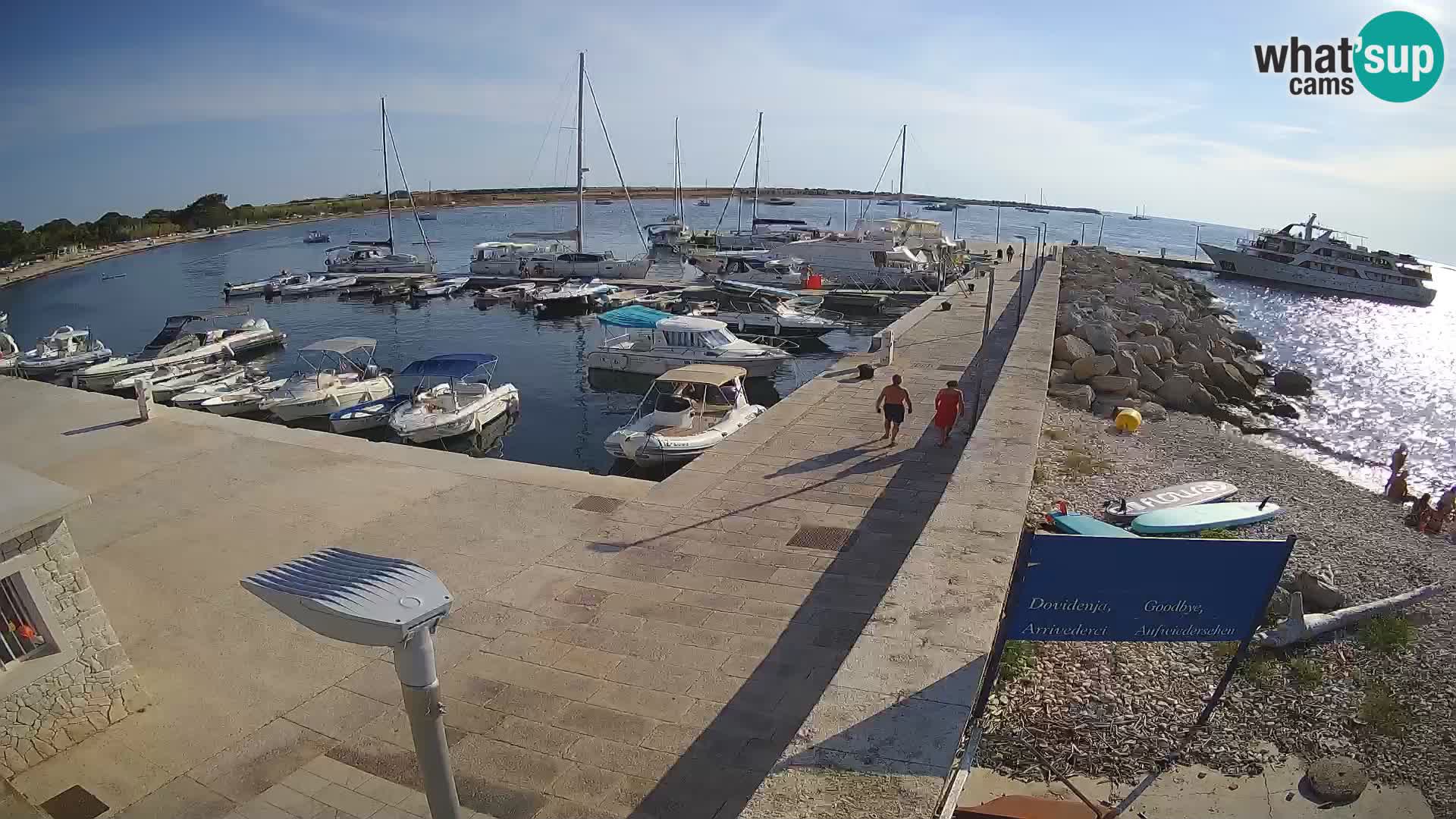 Cámara web de la isla de Unije: explore la belleza de la joya escondida de Croacia