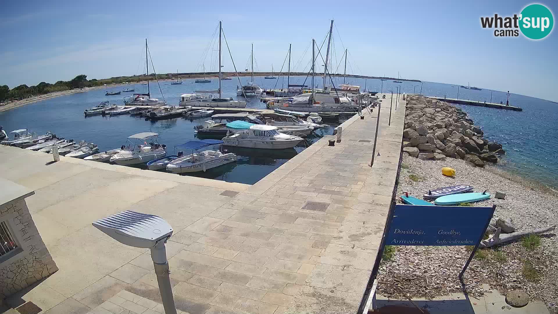 Cámara web de la isla de Unije: explore la belleza de la joya escondida de Croacia