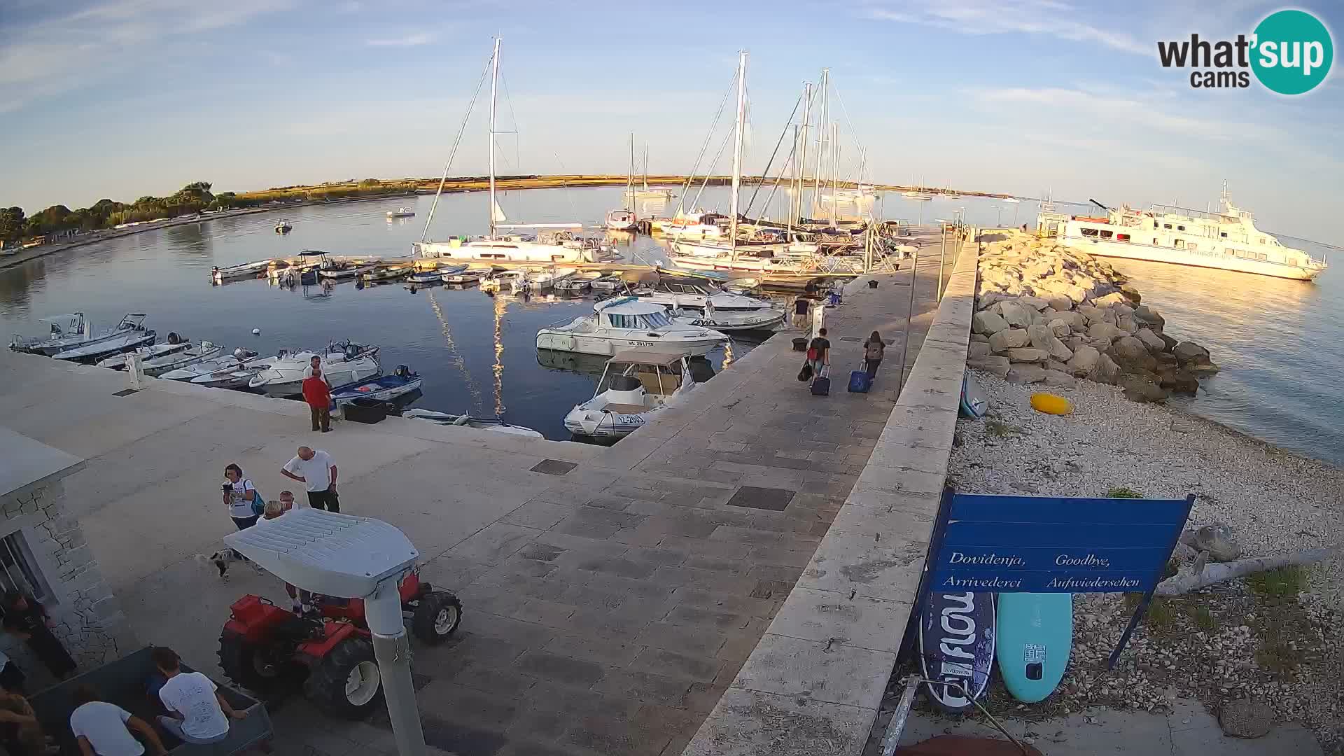 Insel Unije Webcam – Entdecken Sie die Schönheit von Kroatiens verstecktem Juwel