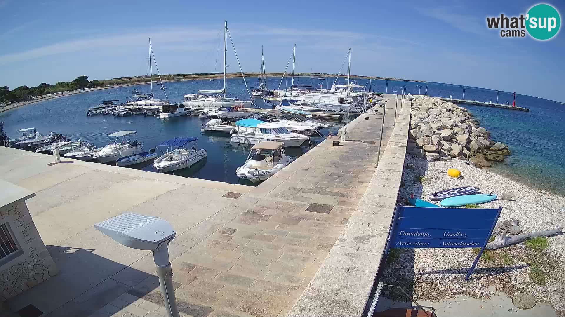 Webcam Isola di Unije – Esplora la bellezza della gemma nascosta della Croazia