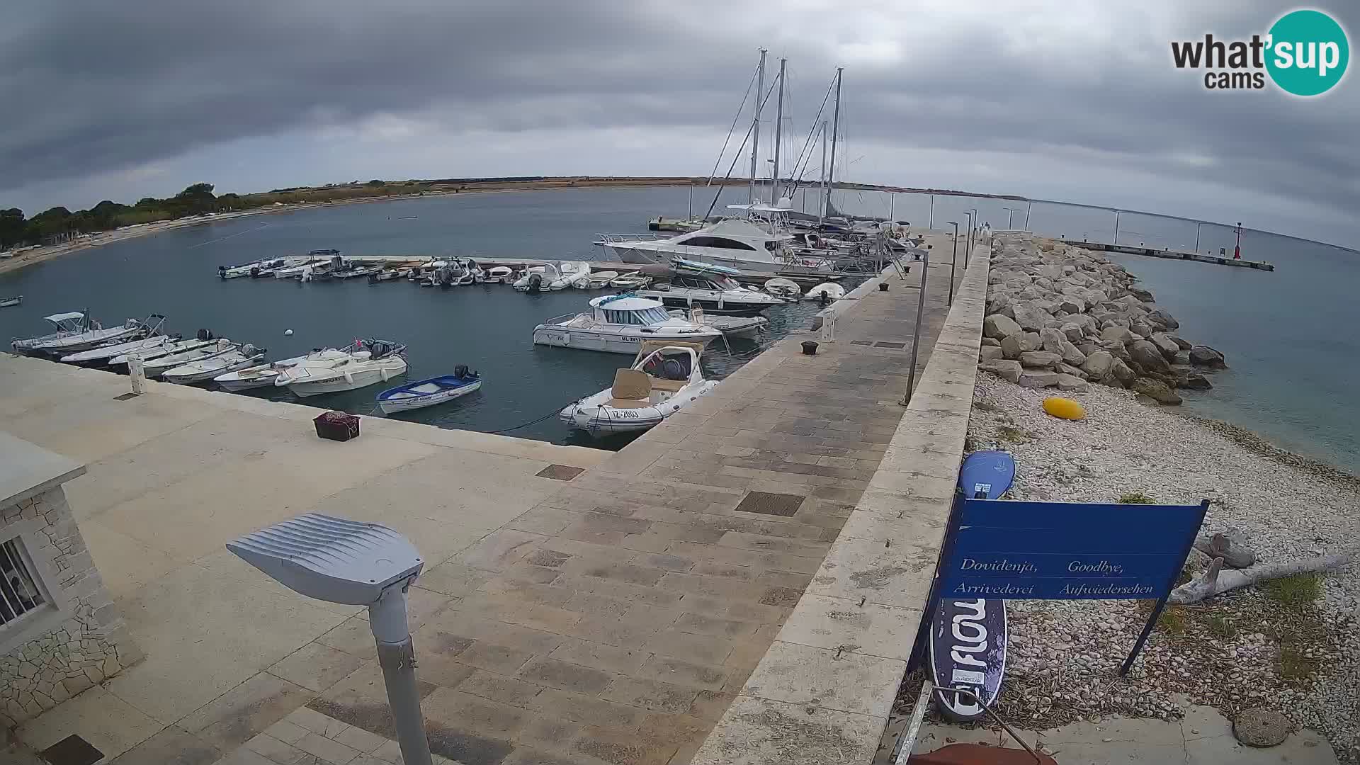 Webcam Isola di Unije – Esplora la bellezza della gemma nascosta della Croazia