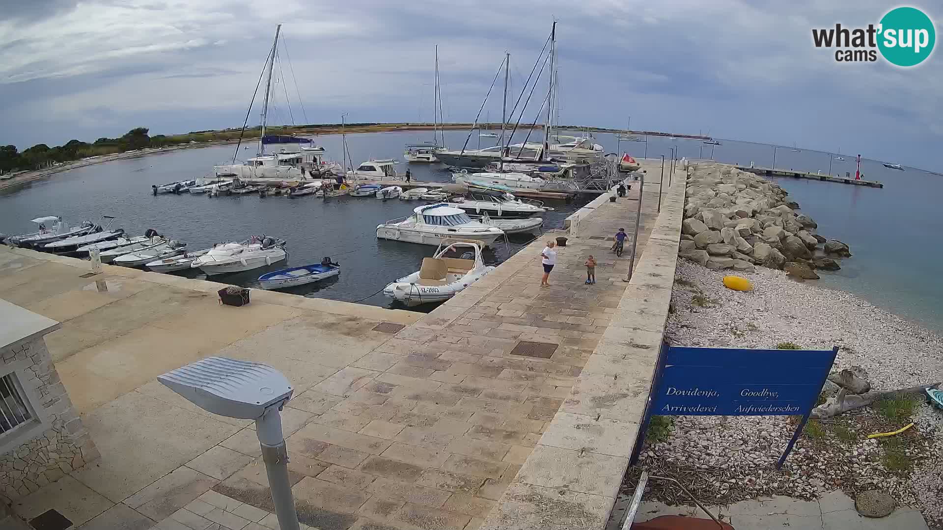 Cámara web de la isla de Unije: explore la belleza de la joya escondida de Croacia