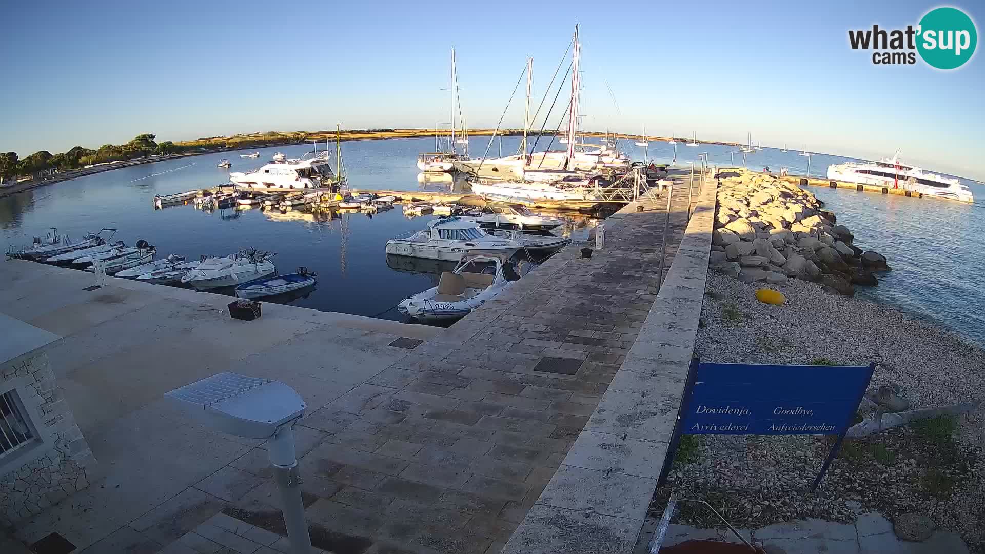 Cámara web de la isla de Unije: explore la belleza de la joya escondida de Croacia