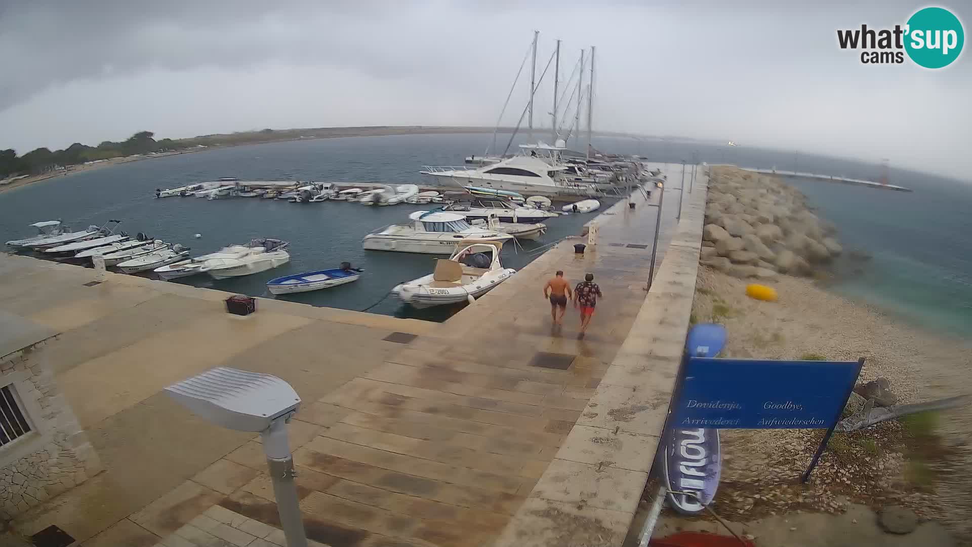 Webcam Isola di Unije – Esplora la bellezza della gemma nascosta della Croazia