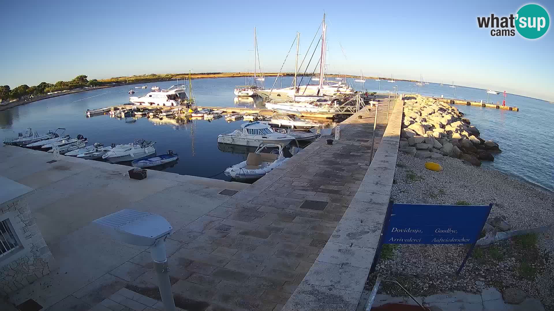 Cámara web de la isla de Unije: explore la belleza de la joya escondida de Croacia