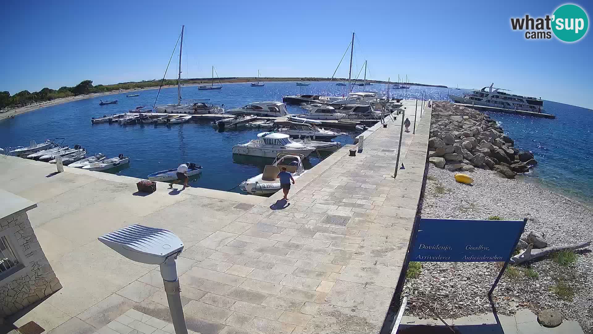 Webcam Isola di Unije – Esplora la bellezza della gemma nascosta della Croazia