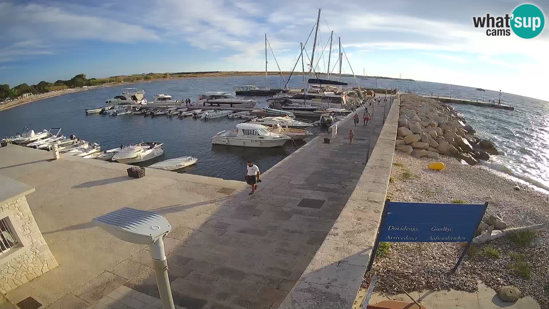 Webcam Isola di Unije – Esplora la bellezza della gemma nascosta della Croazia