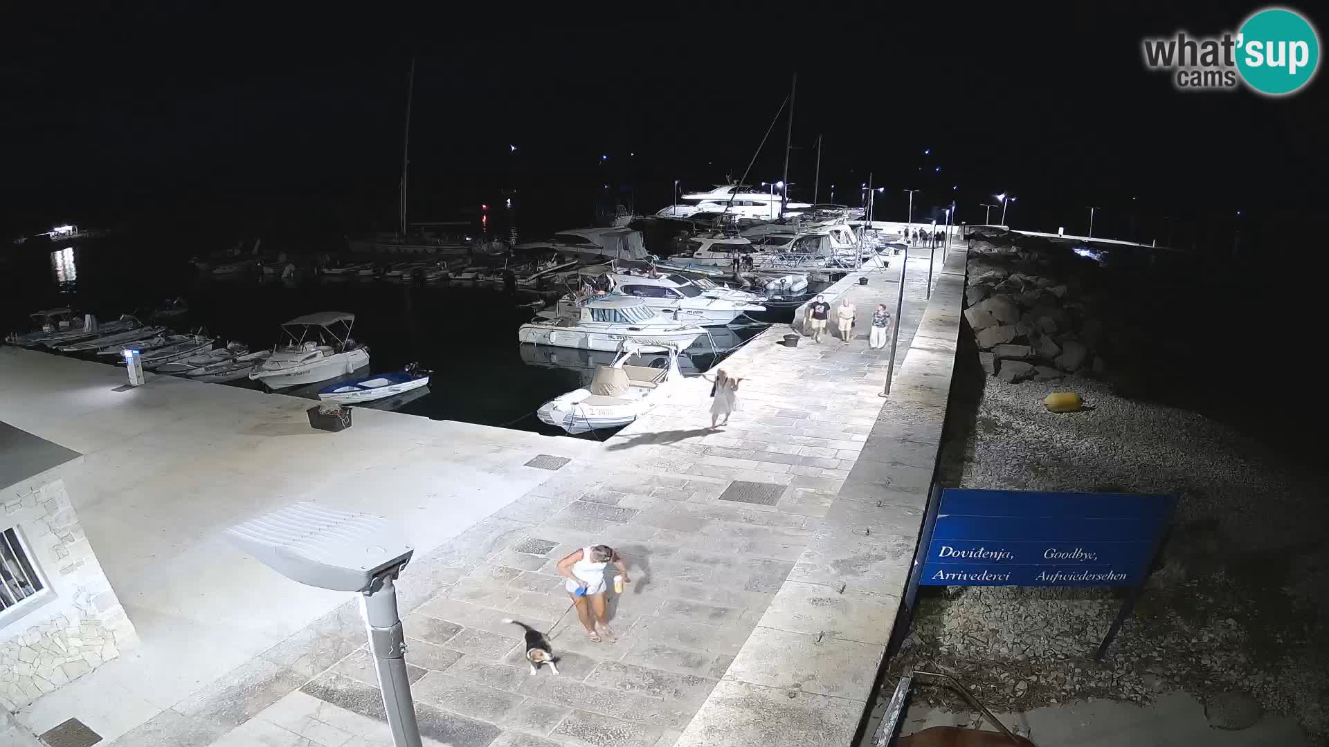 Spletna kamera otoka Unije – Raziščite lepoto skritega dragulja Hrvaške