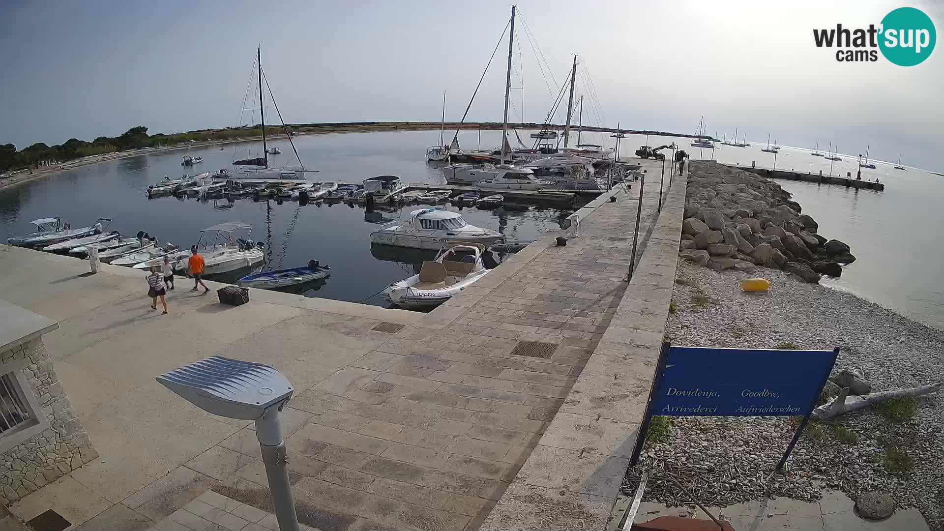 Webcam Isola di Unije – Esplora la bellezza della gemma nascosta della Croazia