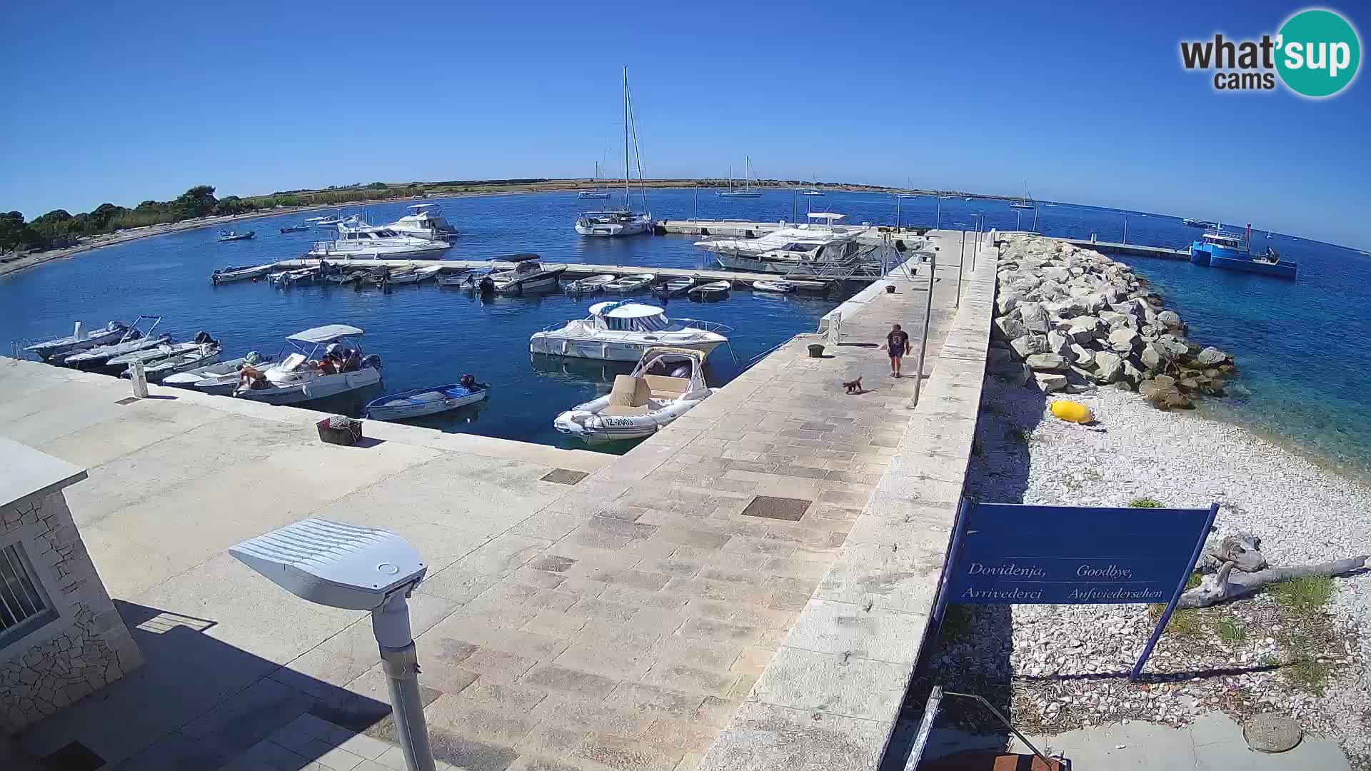 Cámara web de la isla de Unije: explore la belleza de la joya escondida de Croacia