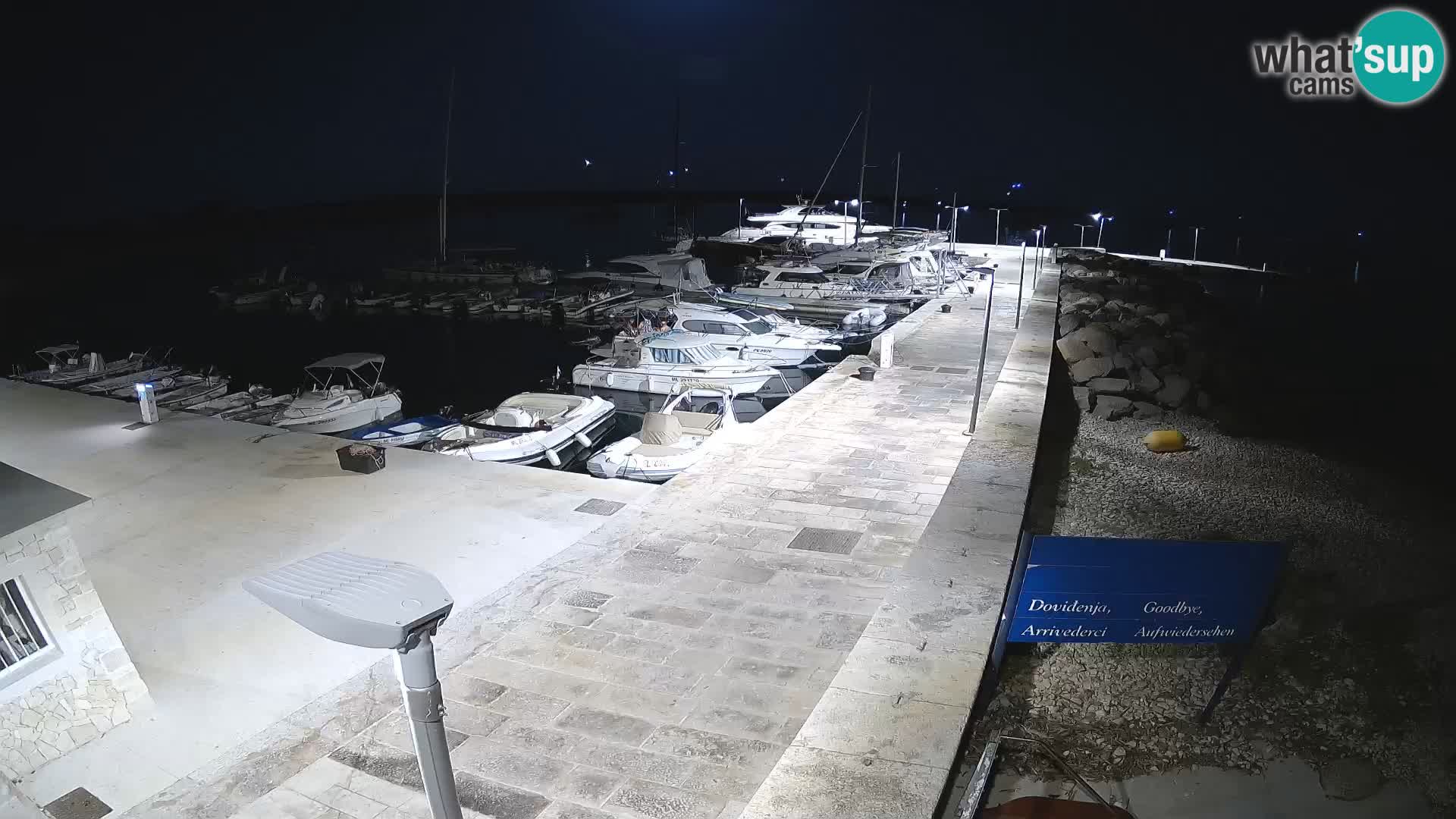Cámara web de la isla de Unije: explore la belleza de la joya escondida de Croacia