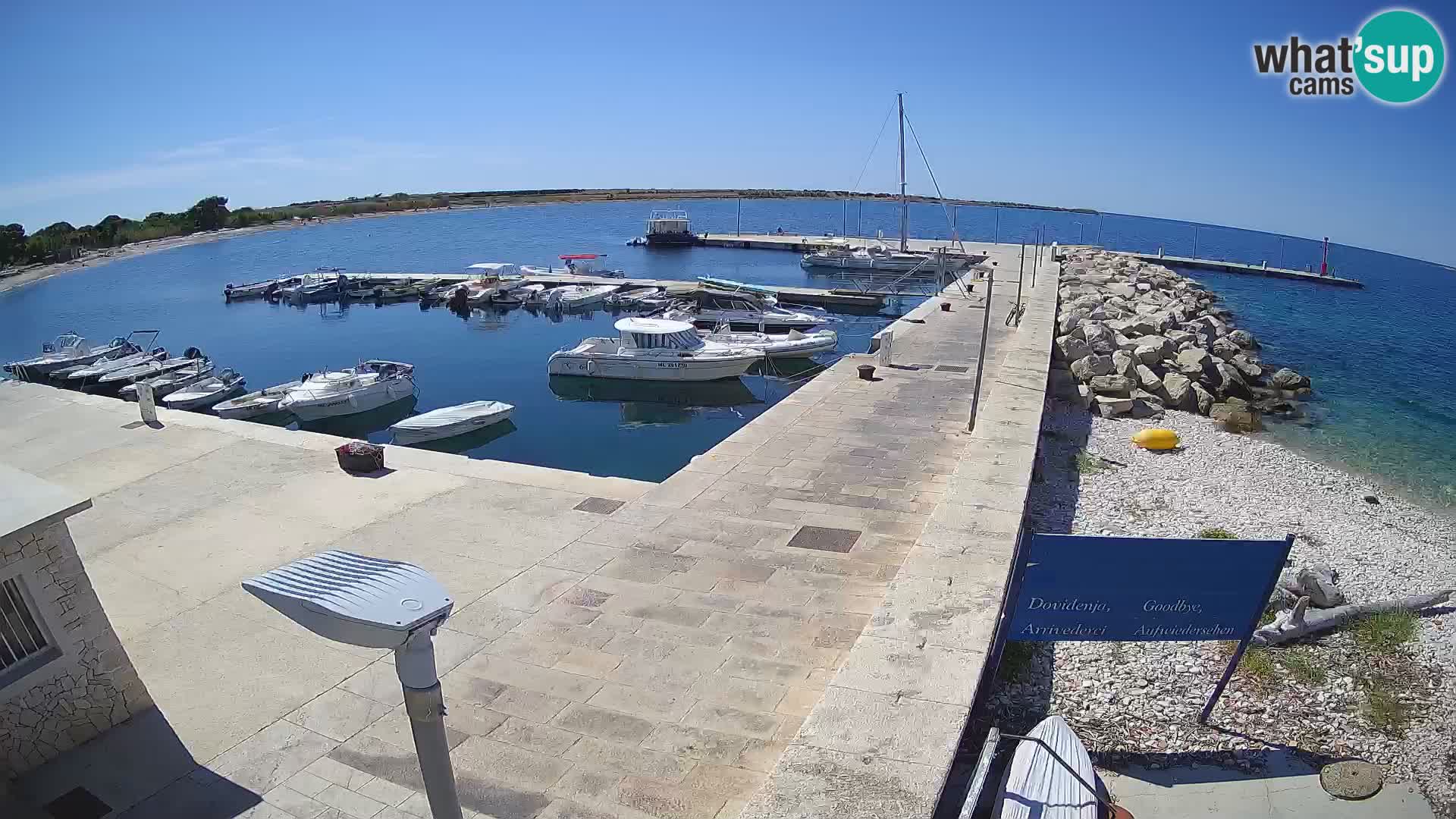 Cámara web de la isla de Unije: explore la belleza de la joya escondida de Croacia