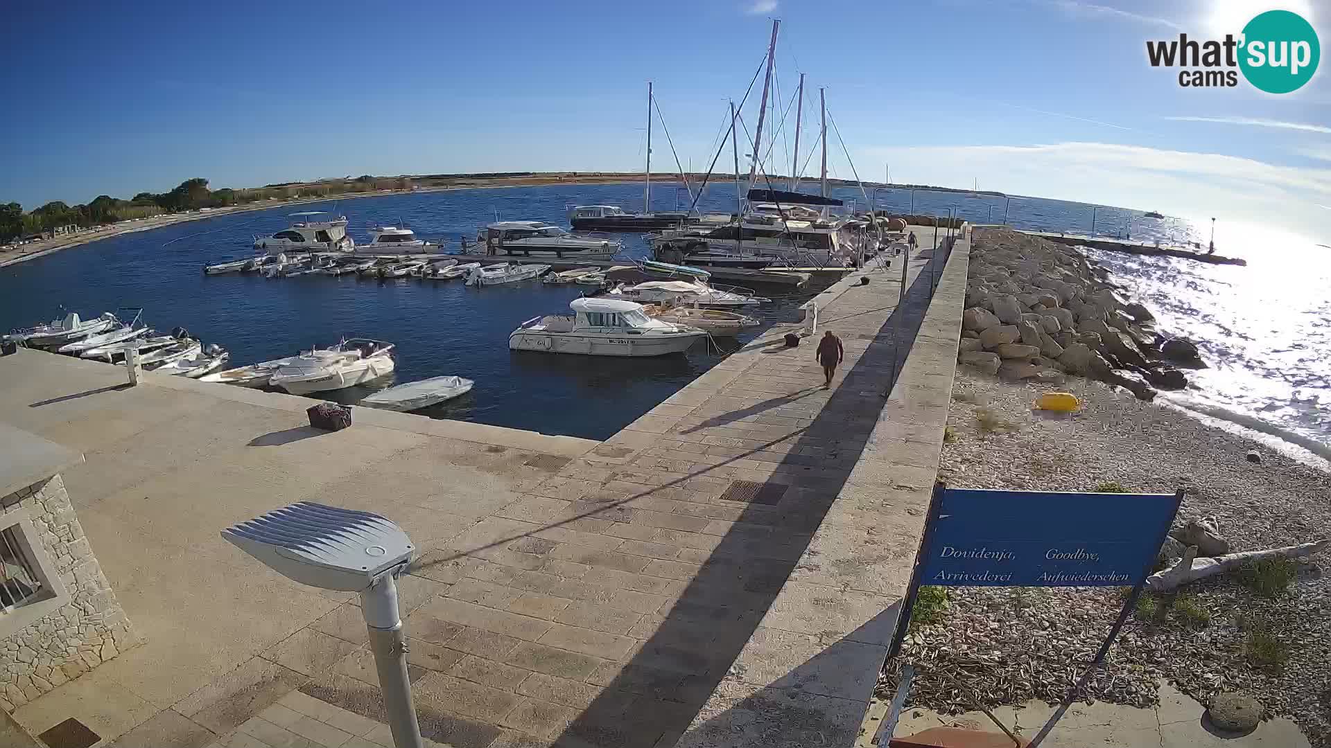 Webcam Isola di Unije – Esplora la bellezza della gemma nascosta della Croazia
