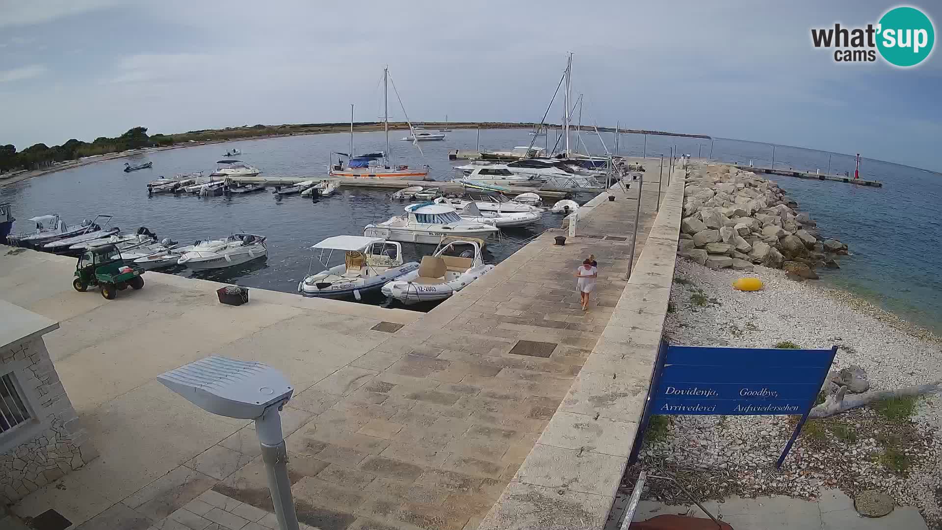 Webcam Isola di Unije – Esplora la bellezza della gemma nascosta della Croazia