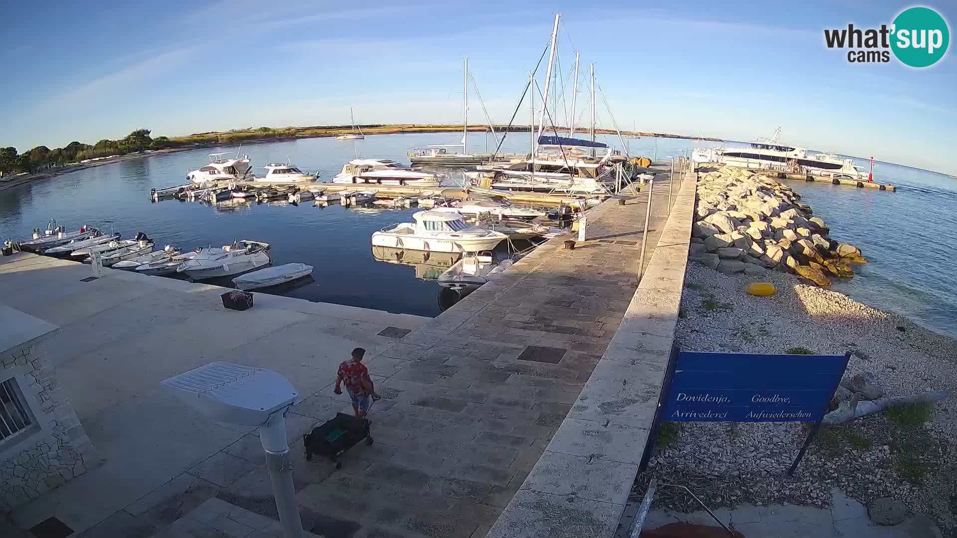 Webcam Isola di Unije – Esplora la bellezza della gemma nascosta della Croazia