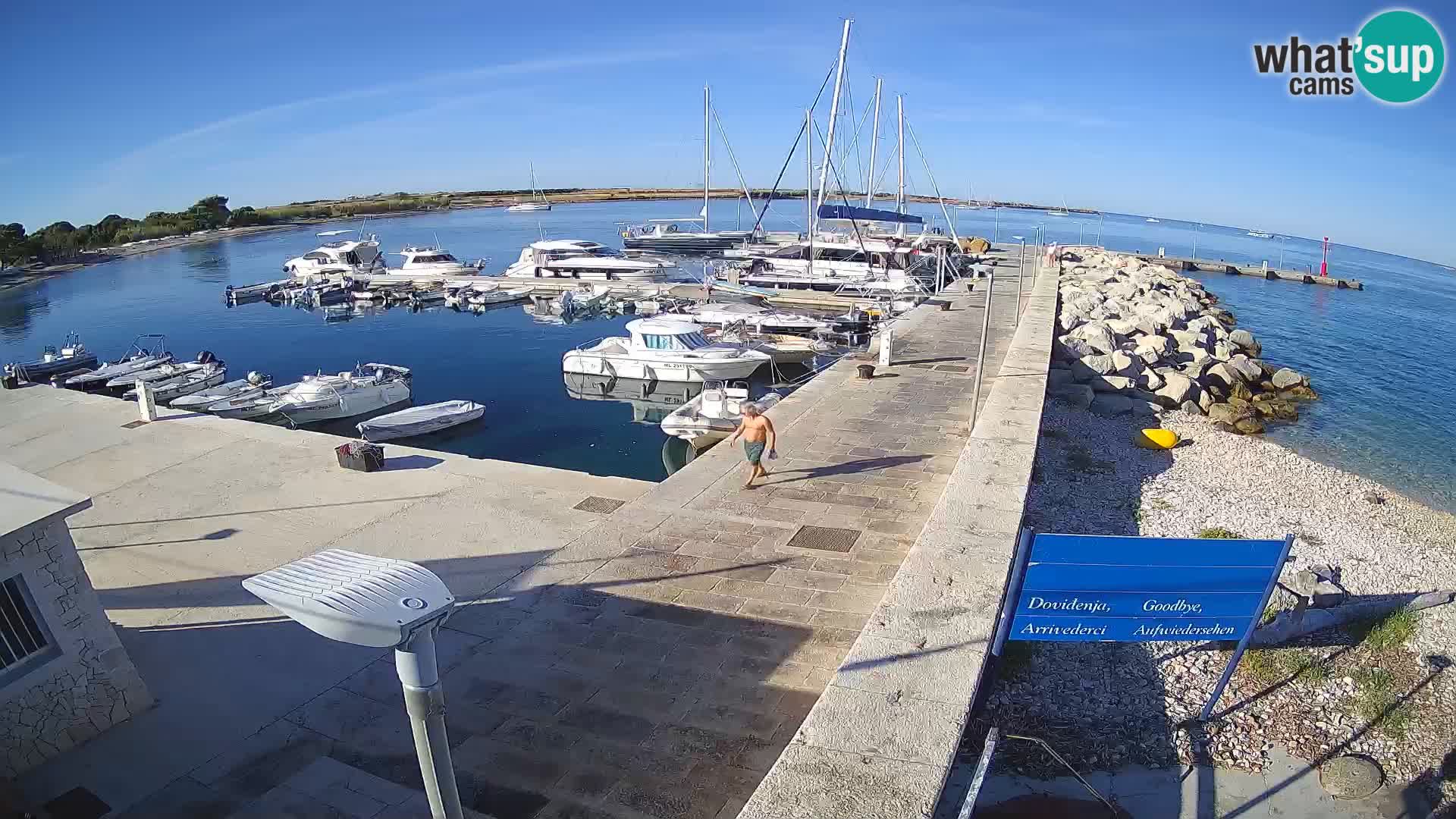 Cámara web de la isla de Unije: explore la belleza de la joya escondida de Croacia