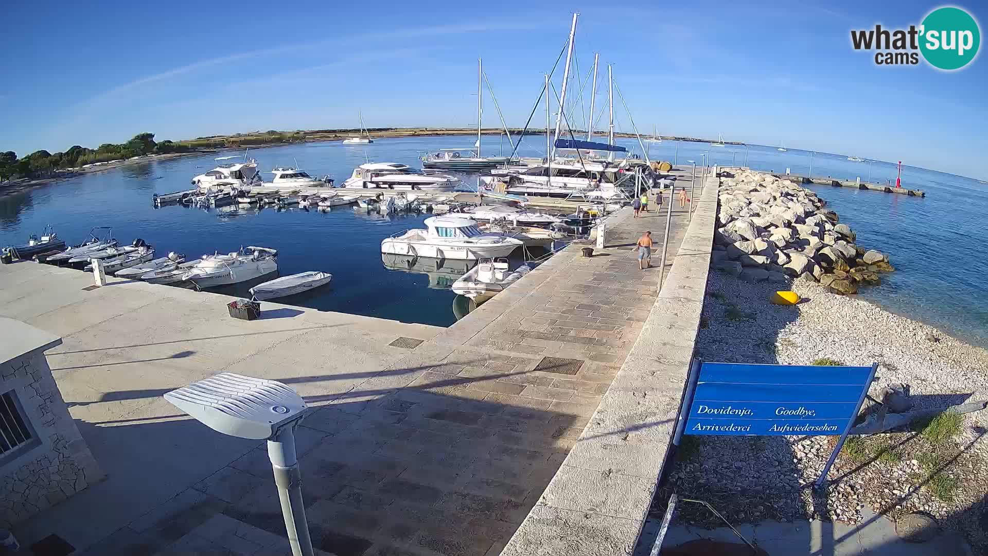 Cámara web de la isla de Unije: explore la belleza de la joya escondida de Croacia