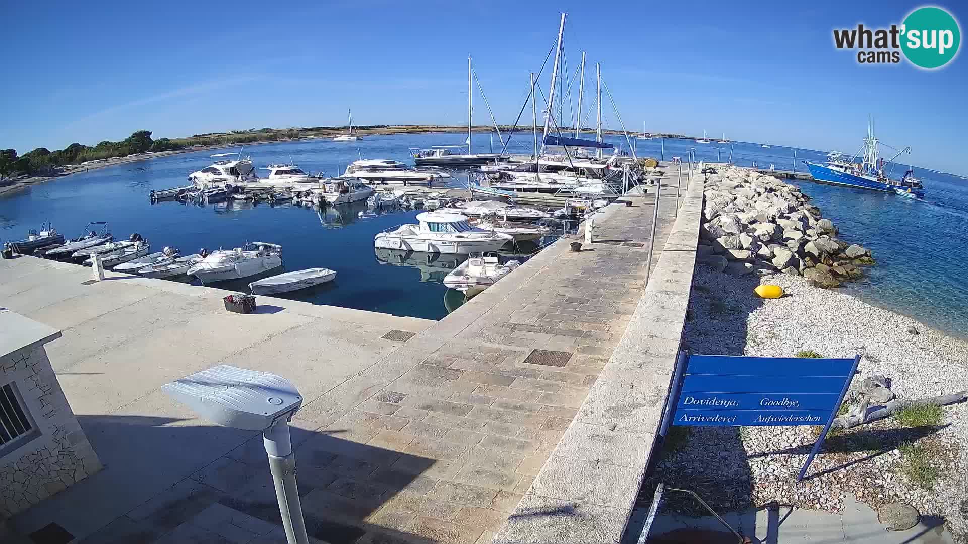 Cámara web de la isla de Unije: explore la belleza de la joya escondida de Croacia