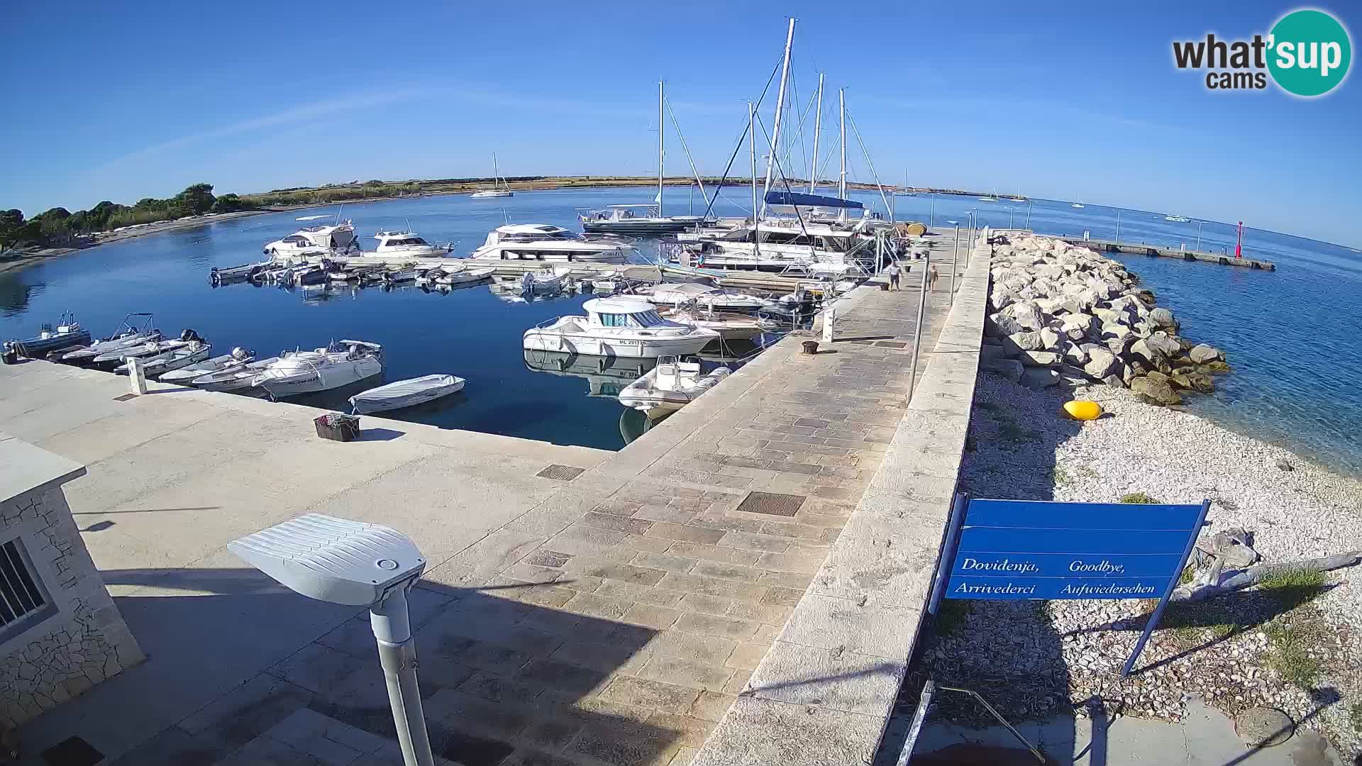 Cámara web de la isla de Unije: explore la belleza de la joya escondida de Croacia