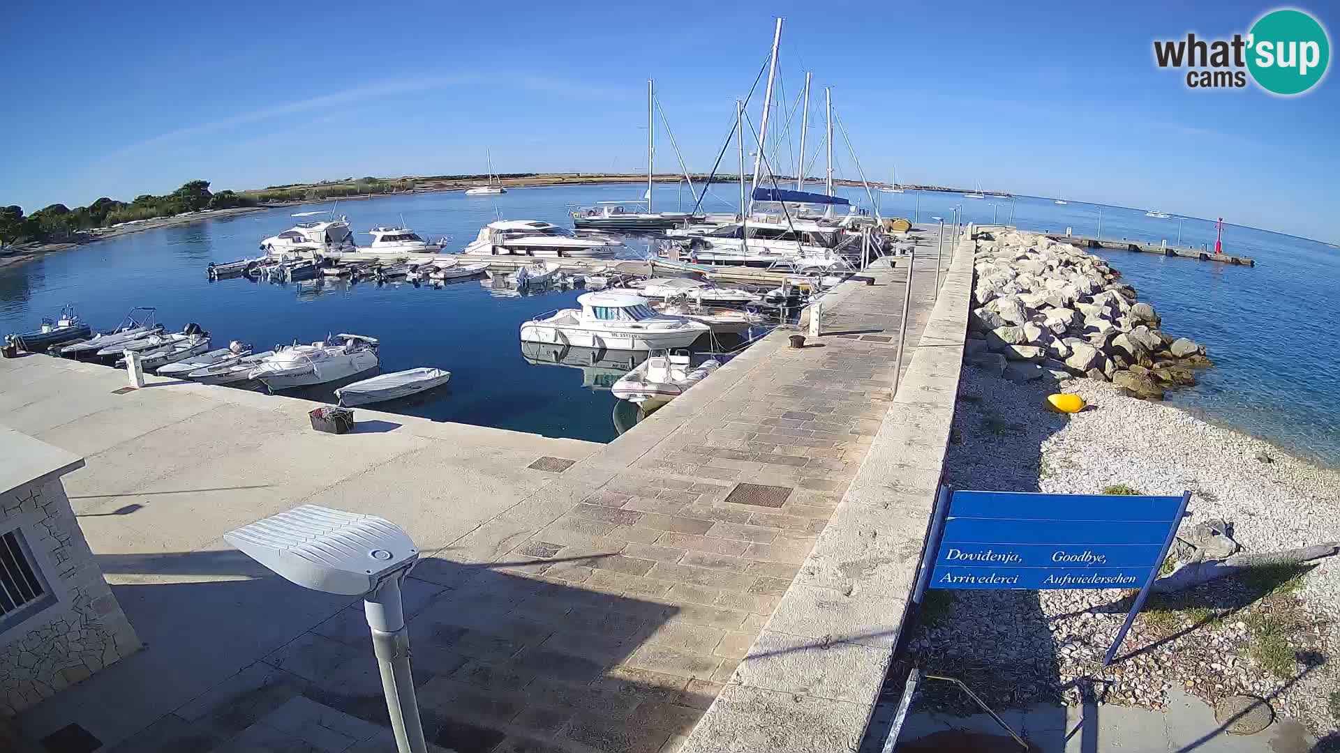 Cámara web de la isla de Unije: explore la belleza de la joya escondida de Croacia