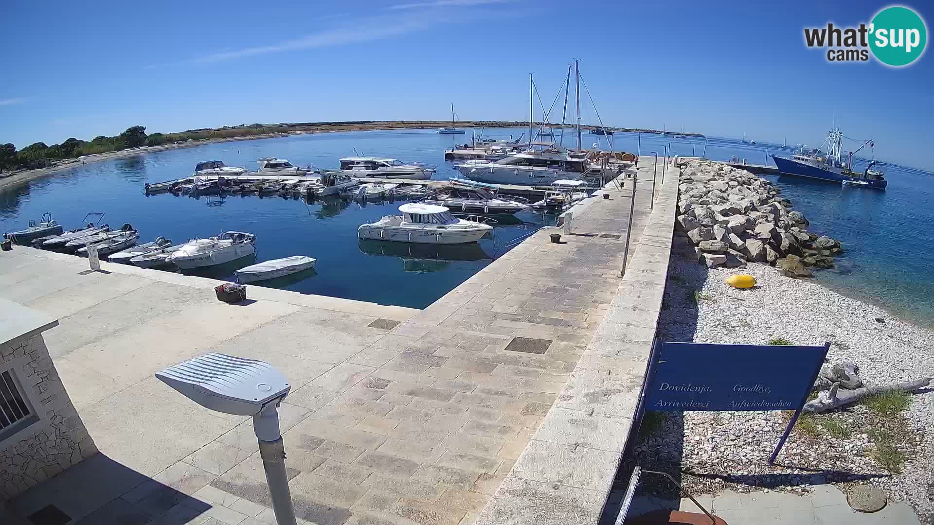 Cámara web de la isla de Unije: explore la belleza de la joya escondida de Croacia