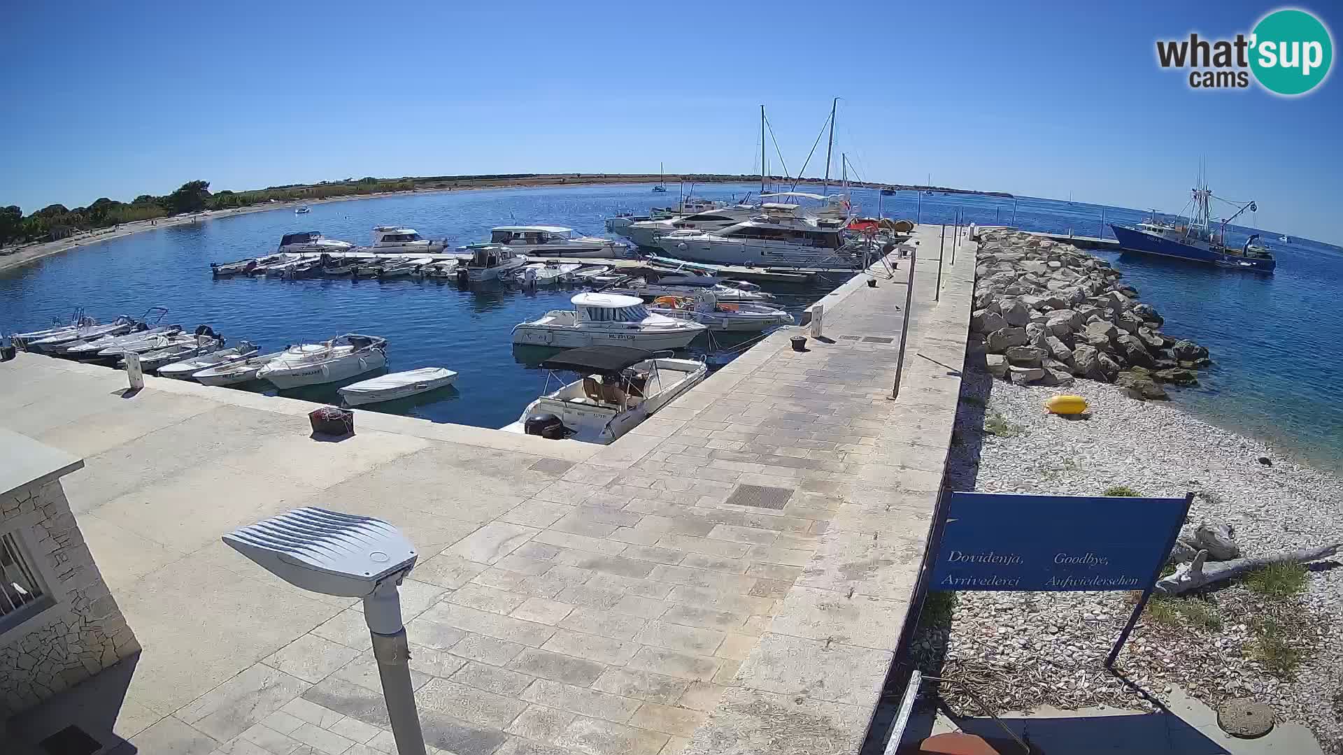 Cámara web de la isla de Unije: explore la belleza de la joya escondida de Croacia