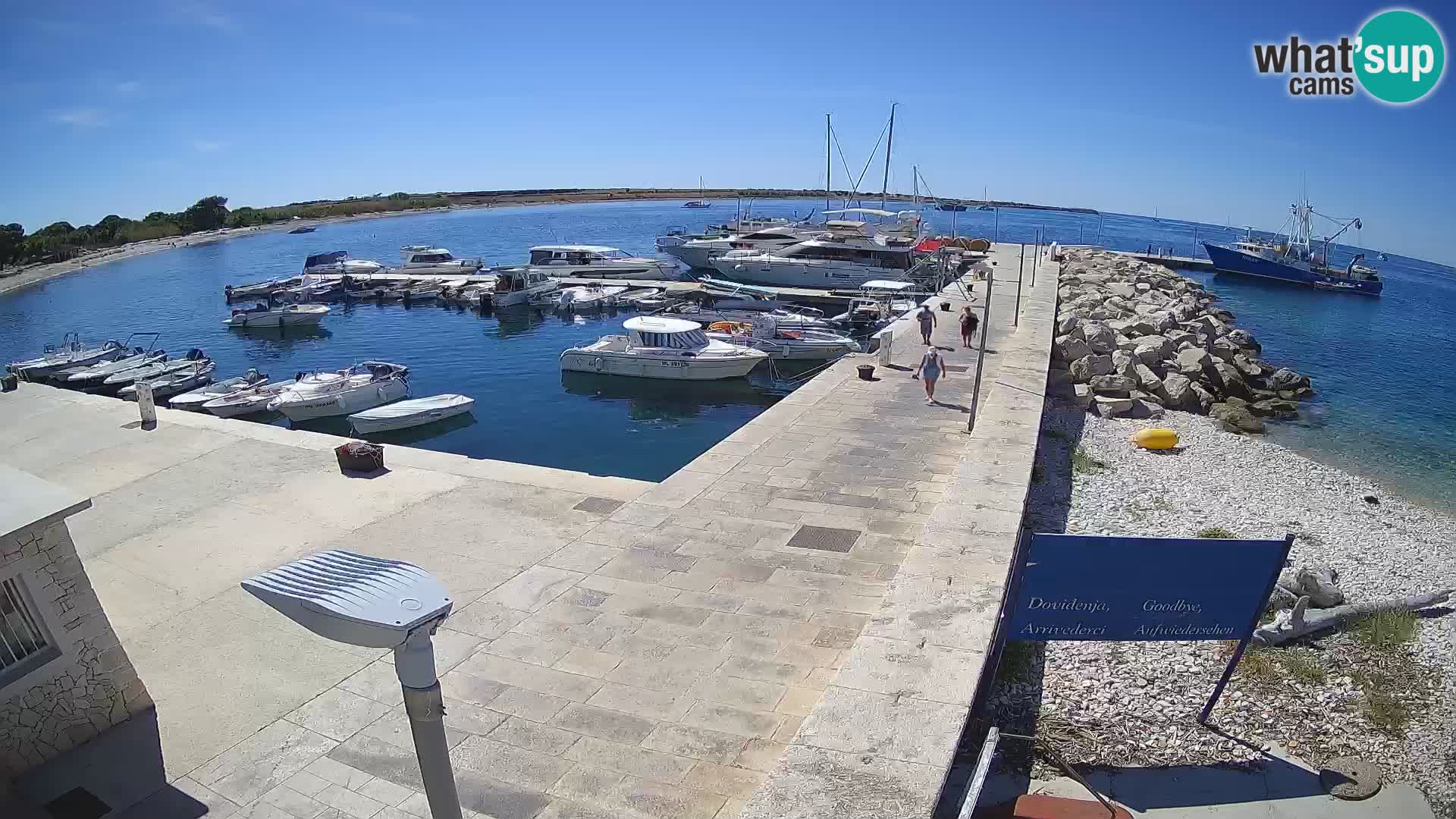 Webcam Isola di Unije – Esplora la bellezza della gemma nascosta della Croazia