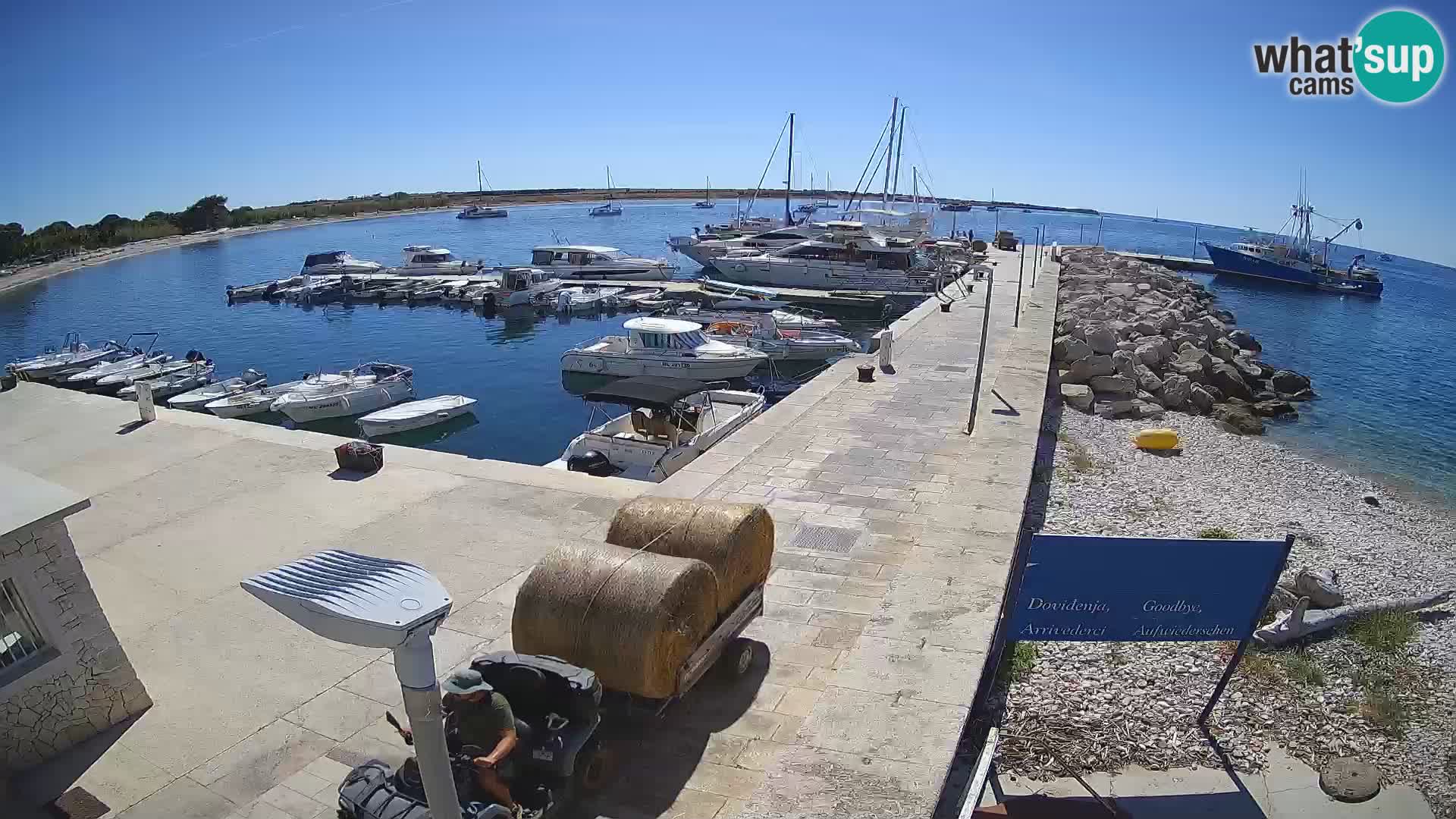 Cámara web de la isla de Unije: explore la belleza de la joya escondida de Croacia