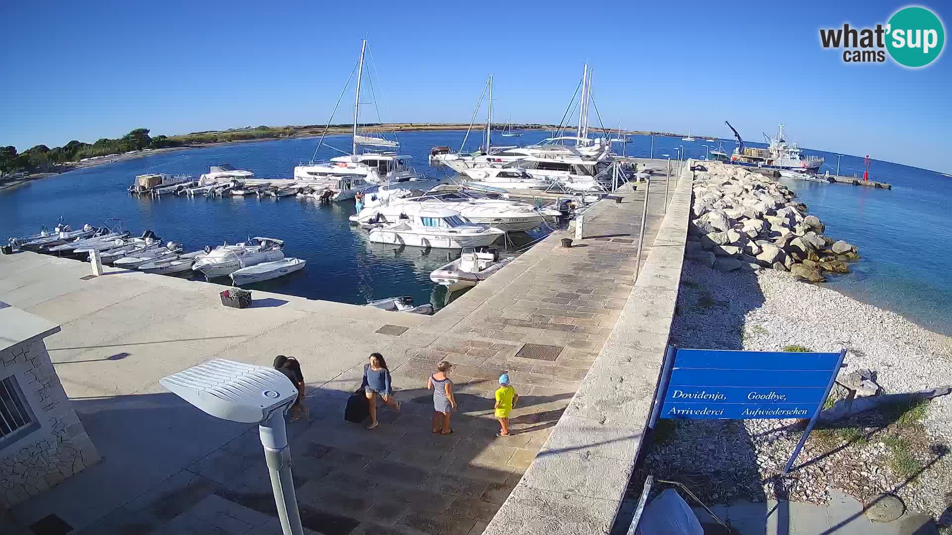 Cámara web de la isla de Unije: explore la belleza de la joya escondida de Croacia