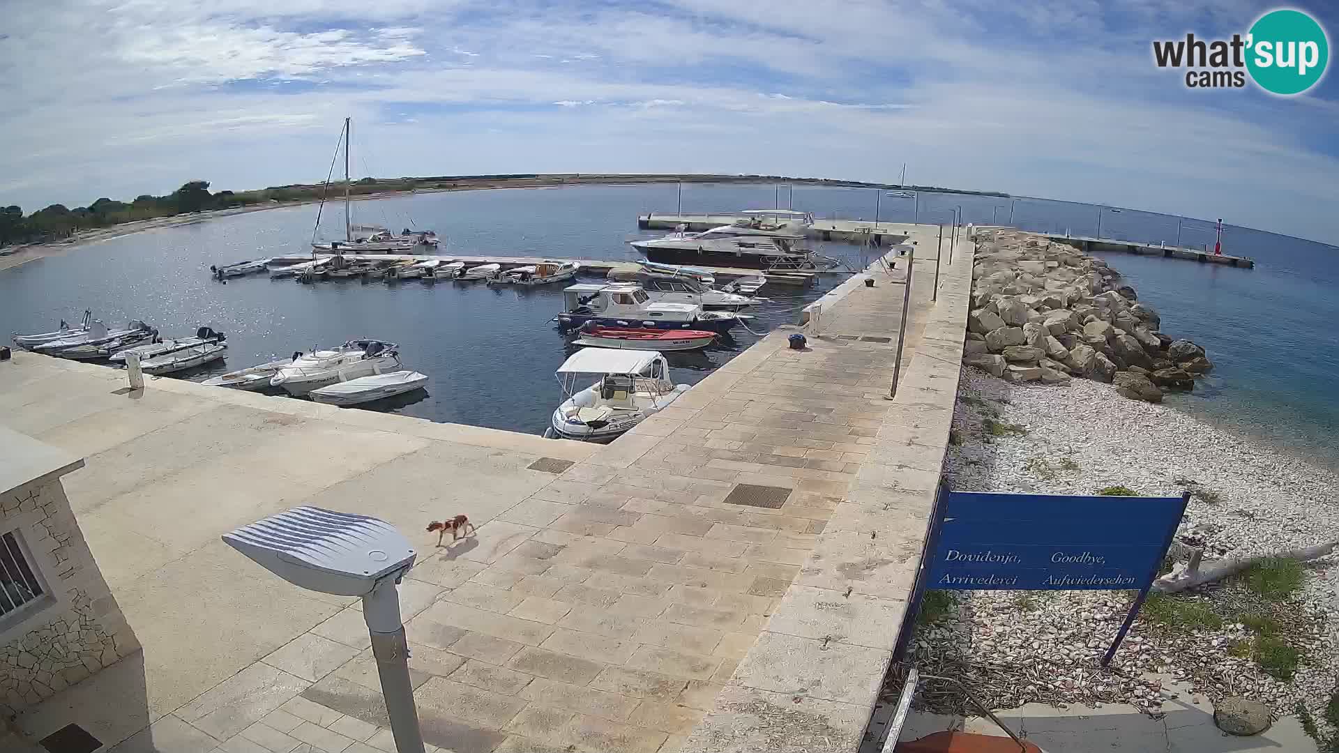 Cámara web de la isla de Unije: explore la belleza de la joya escondida de Croacia