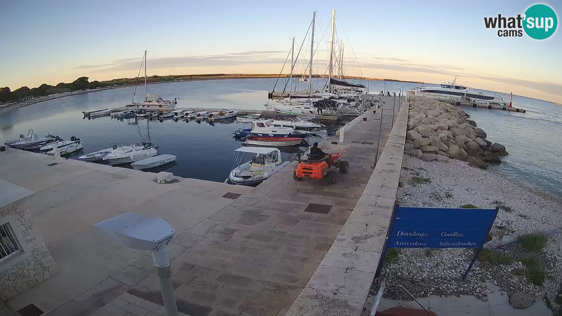 Insel Unije Webcam – Entdecken Sie die Schönheit von Kroatiens verstecktem Juwel