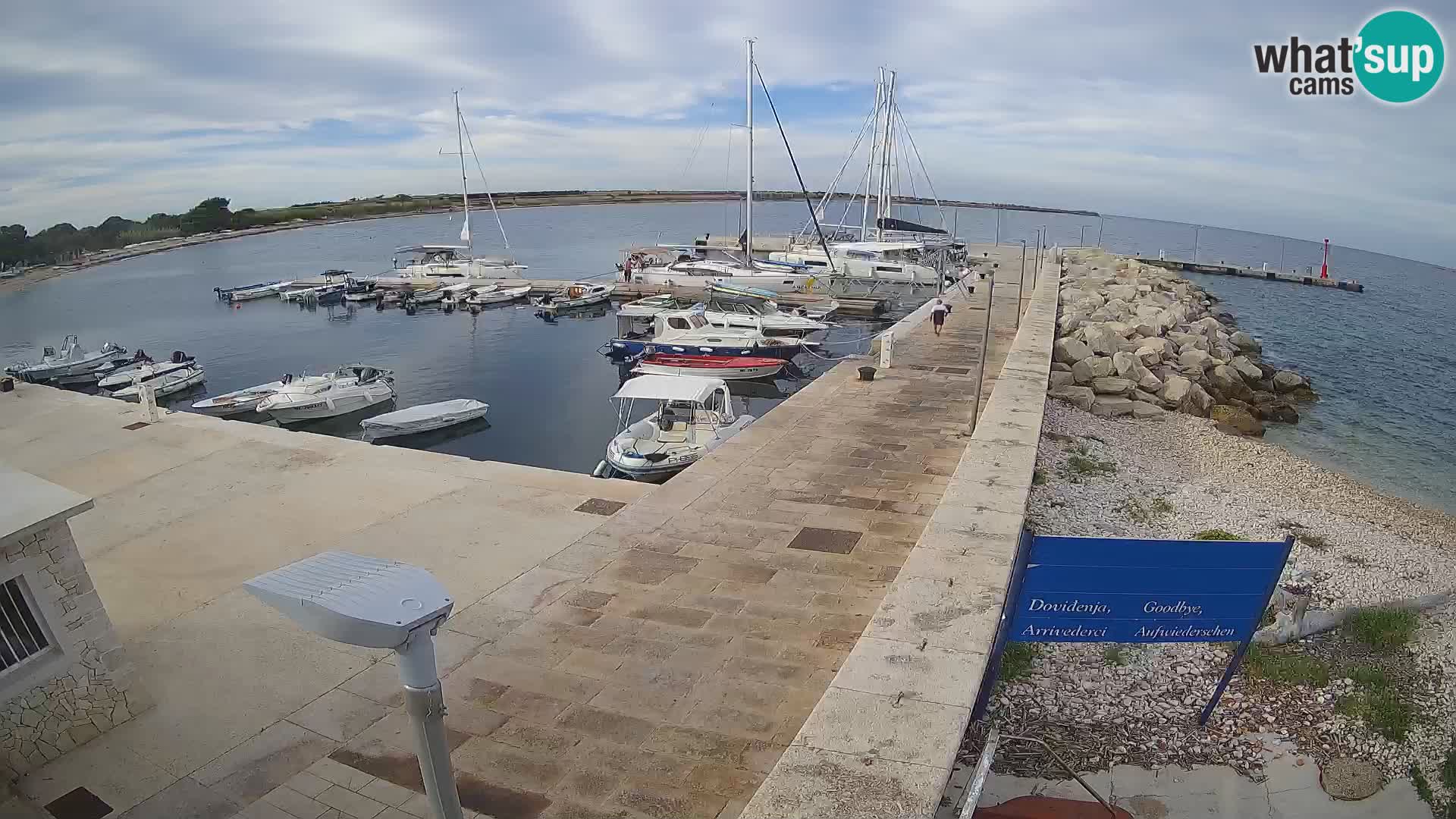 Webcam Isola di Unije – Esplora la bellezza della gemma nascosta della Croazia