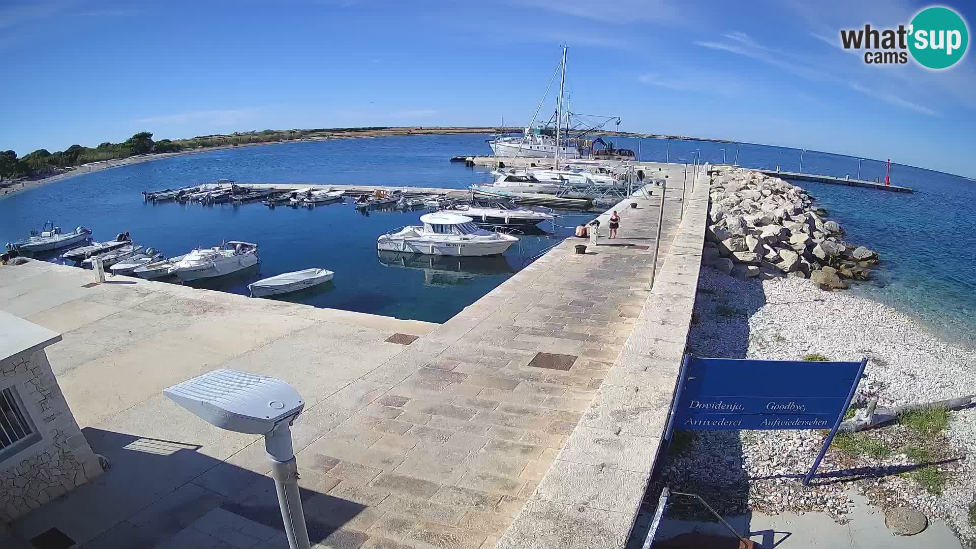 Cámara web de la isla de Unije: explore la belleza de la joya escondida de Croacia