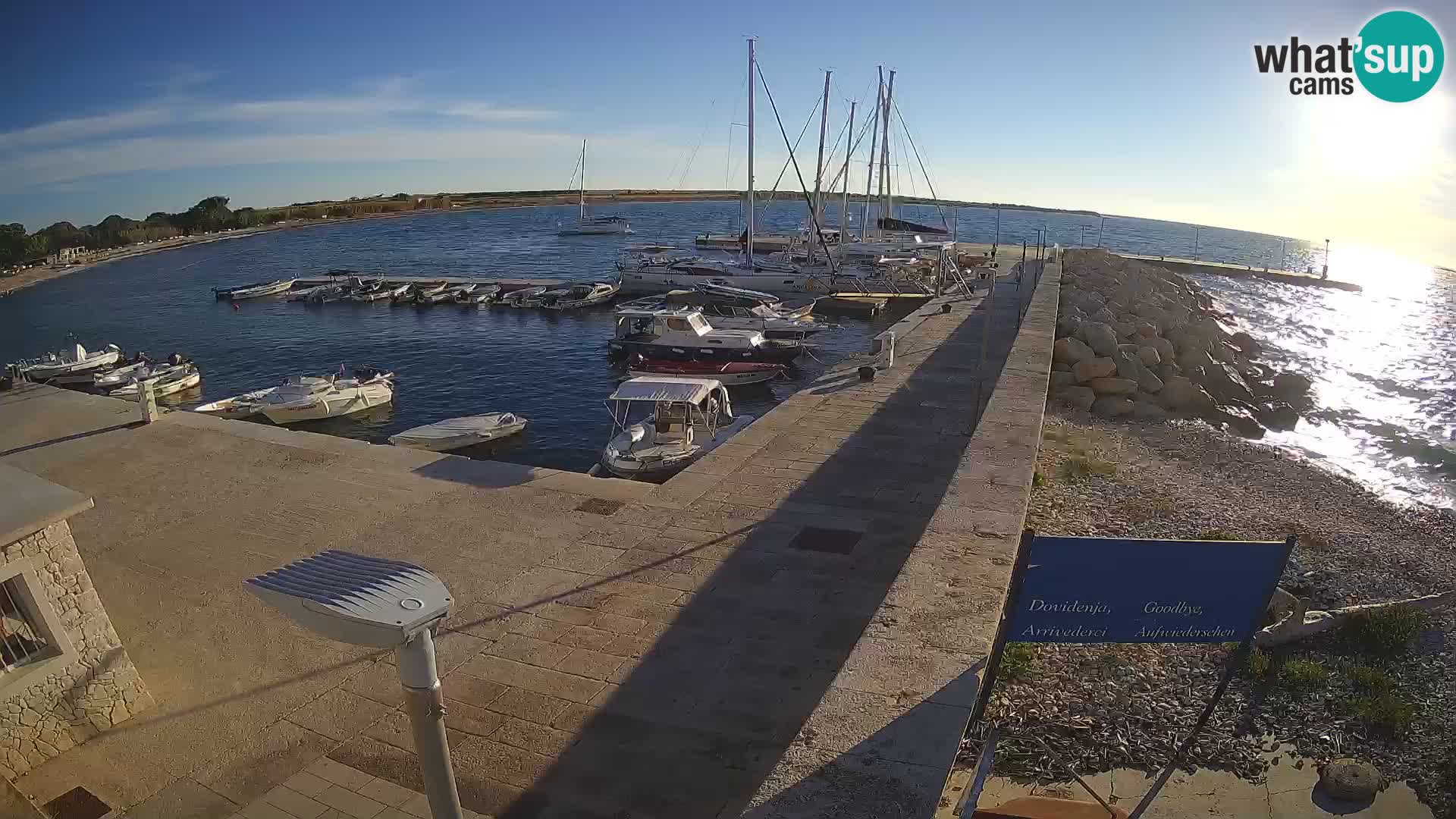 Cámara web de la isla de Unije: explore la belleza de la joya escondida de Croacia