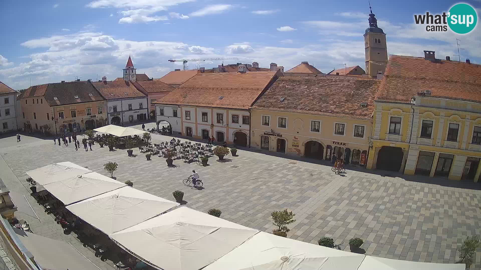 The King Tomislav square