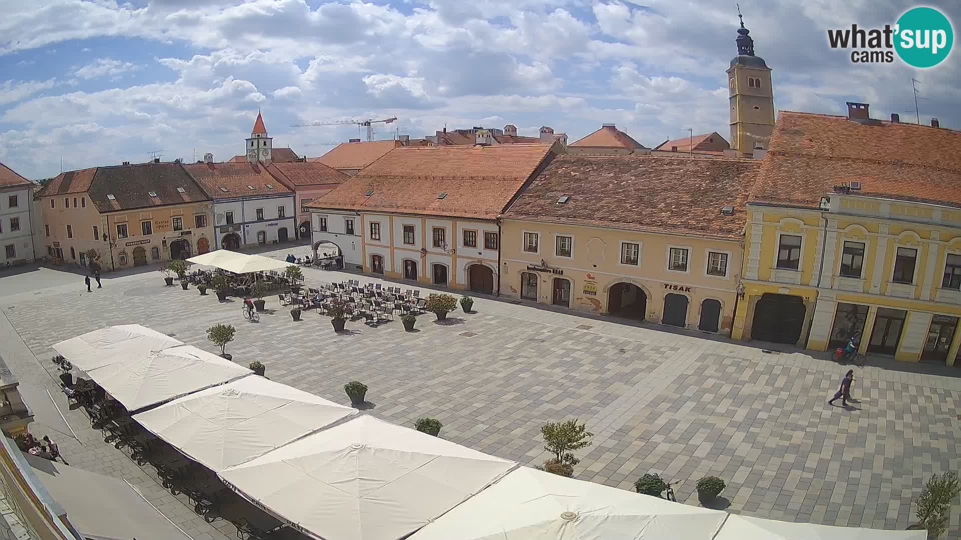 The King Tomislav square