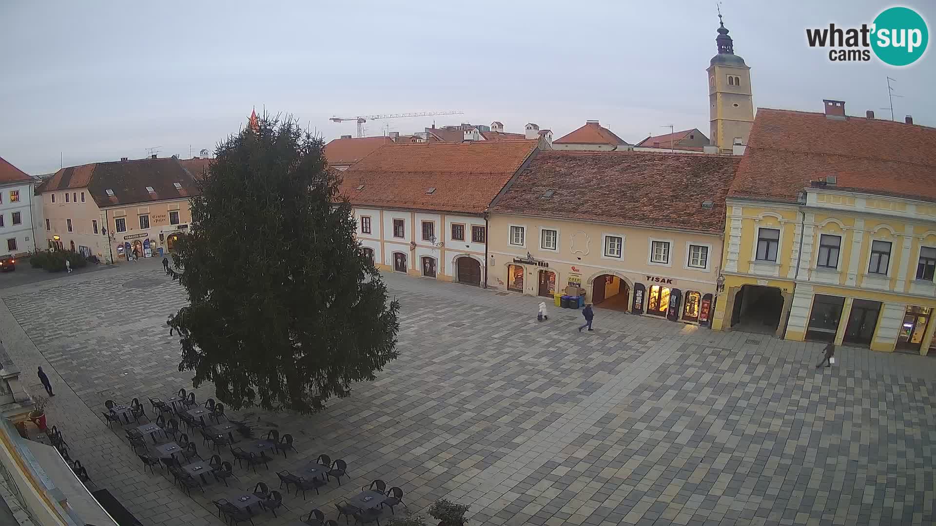 Platz könig Tomislav