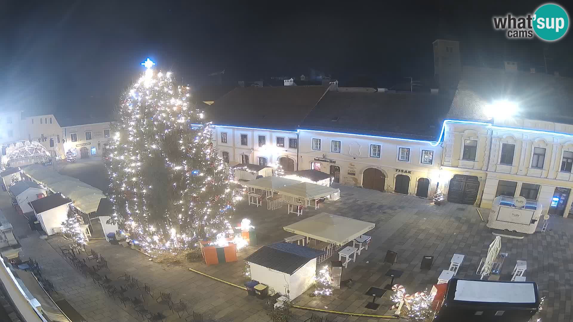 The King Tomislav square