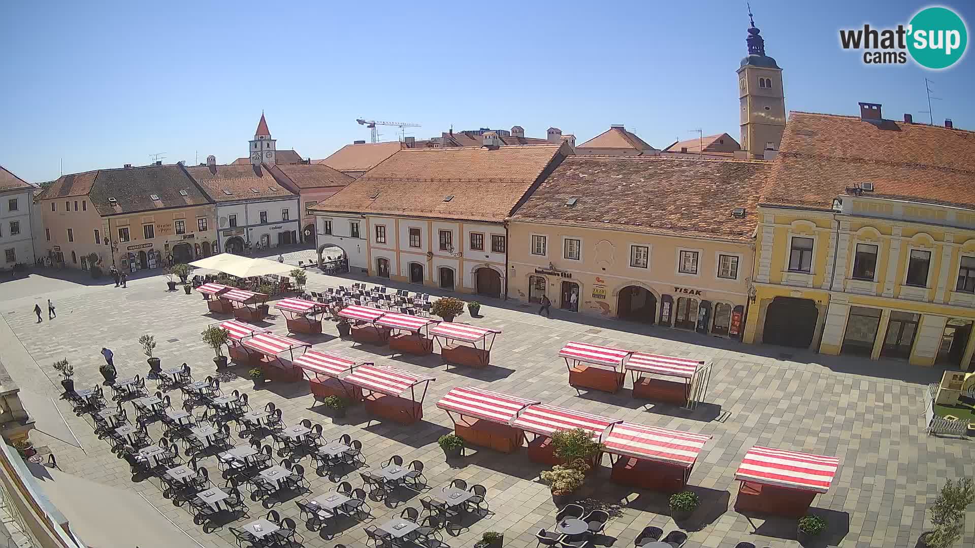 The King Tomislav square