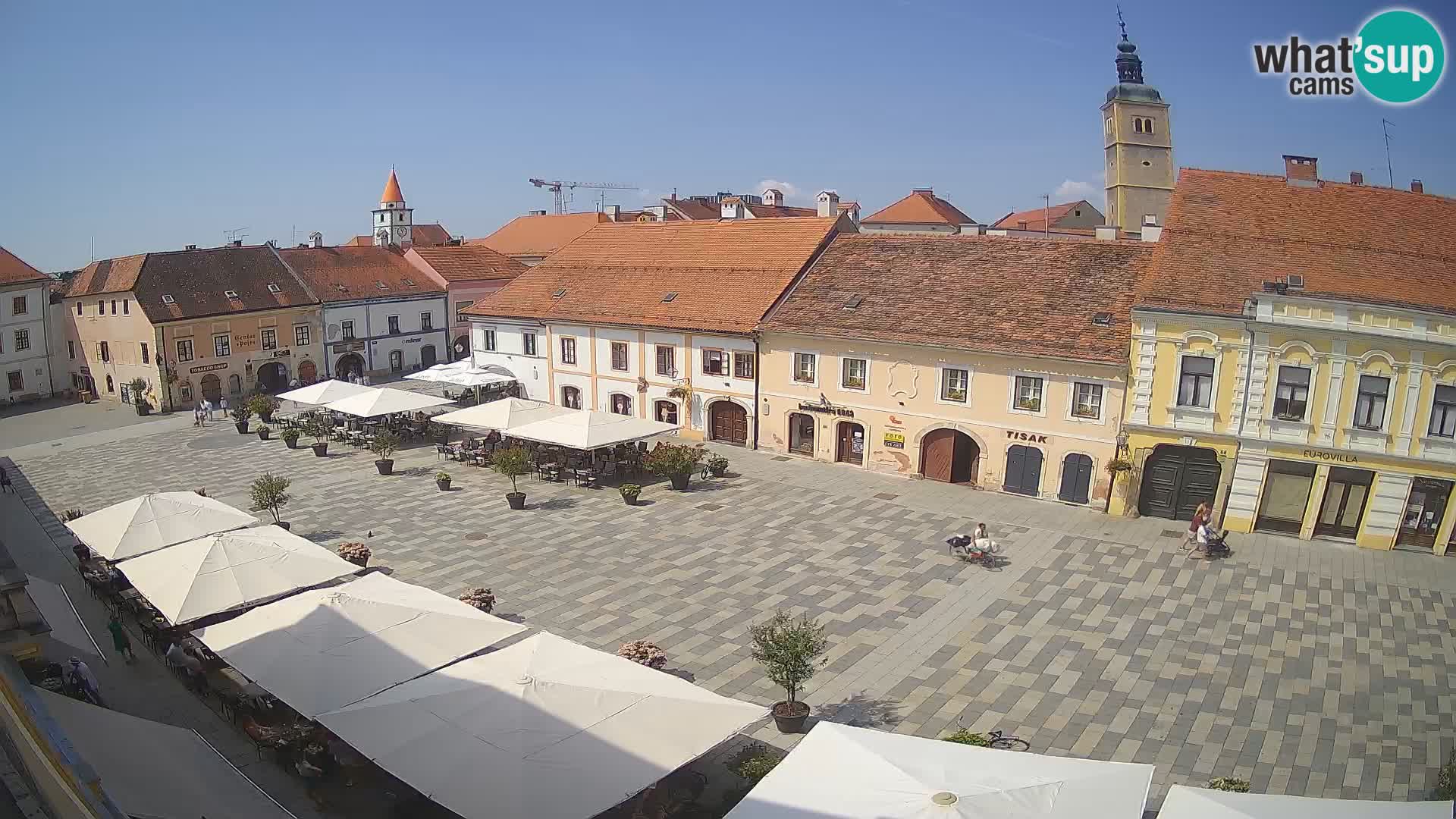 The King Tomislav square