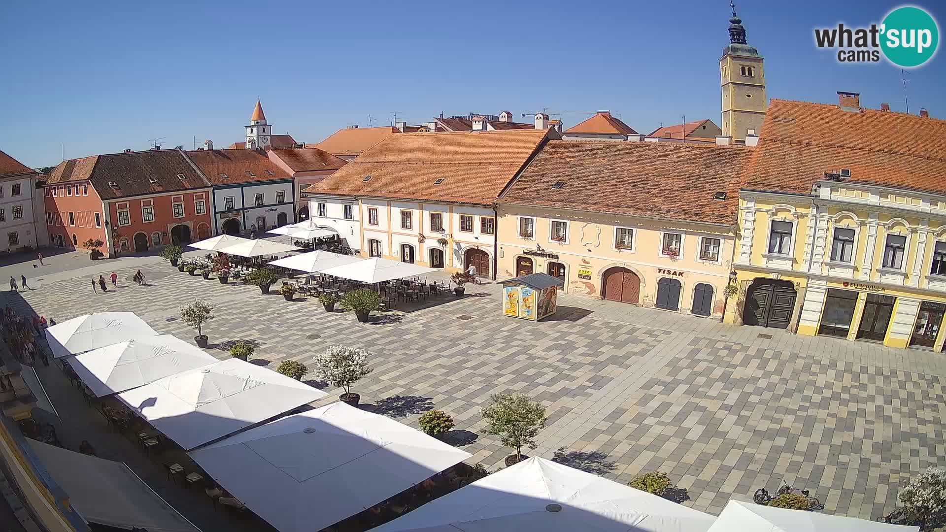 The King Tomislav square