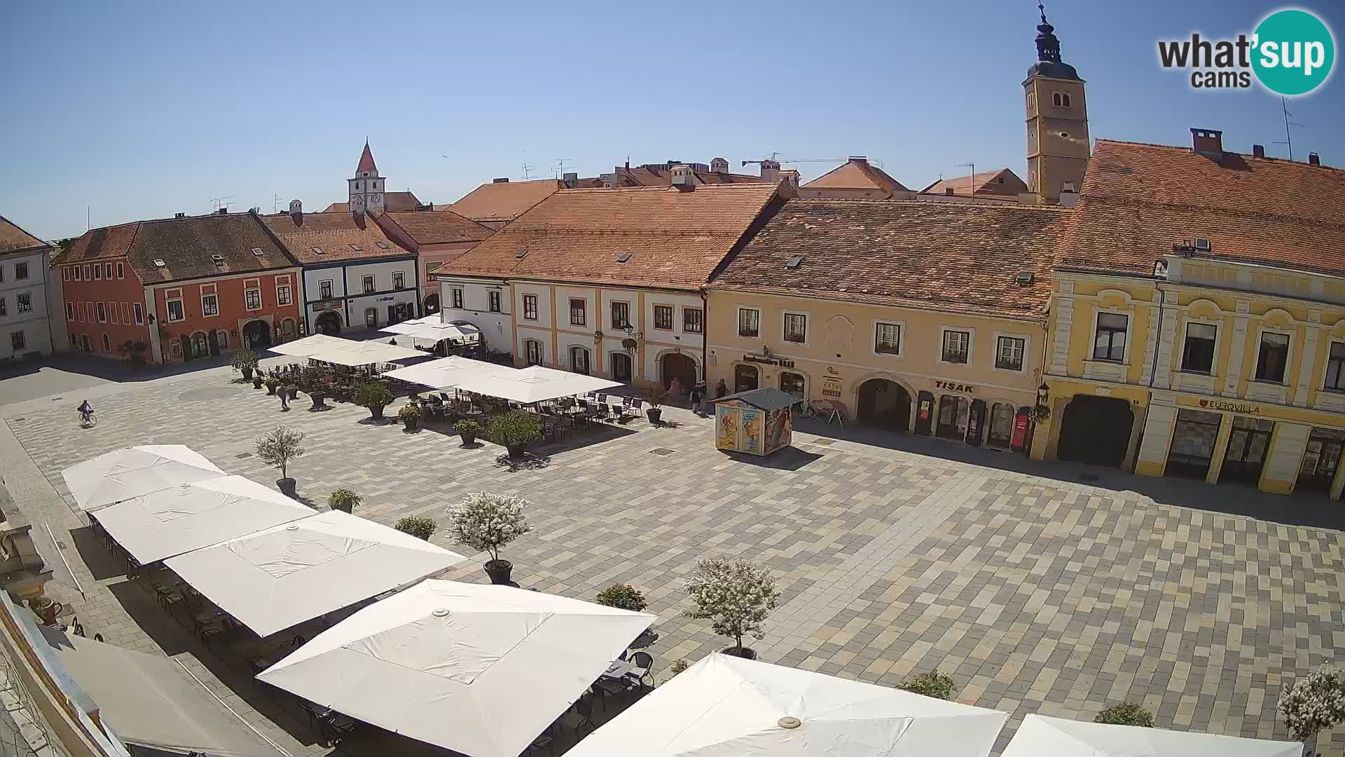 The King Tomislav square