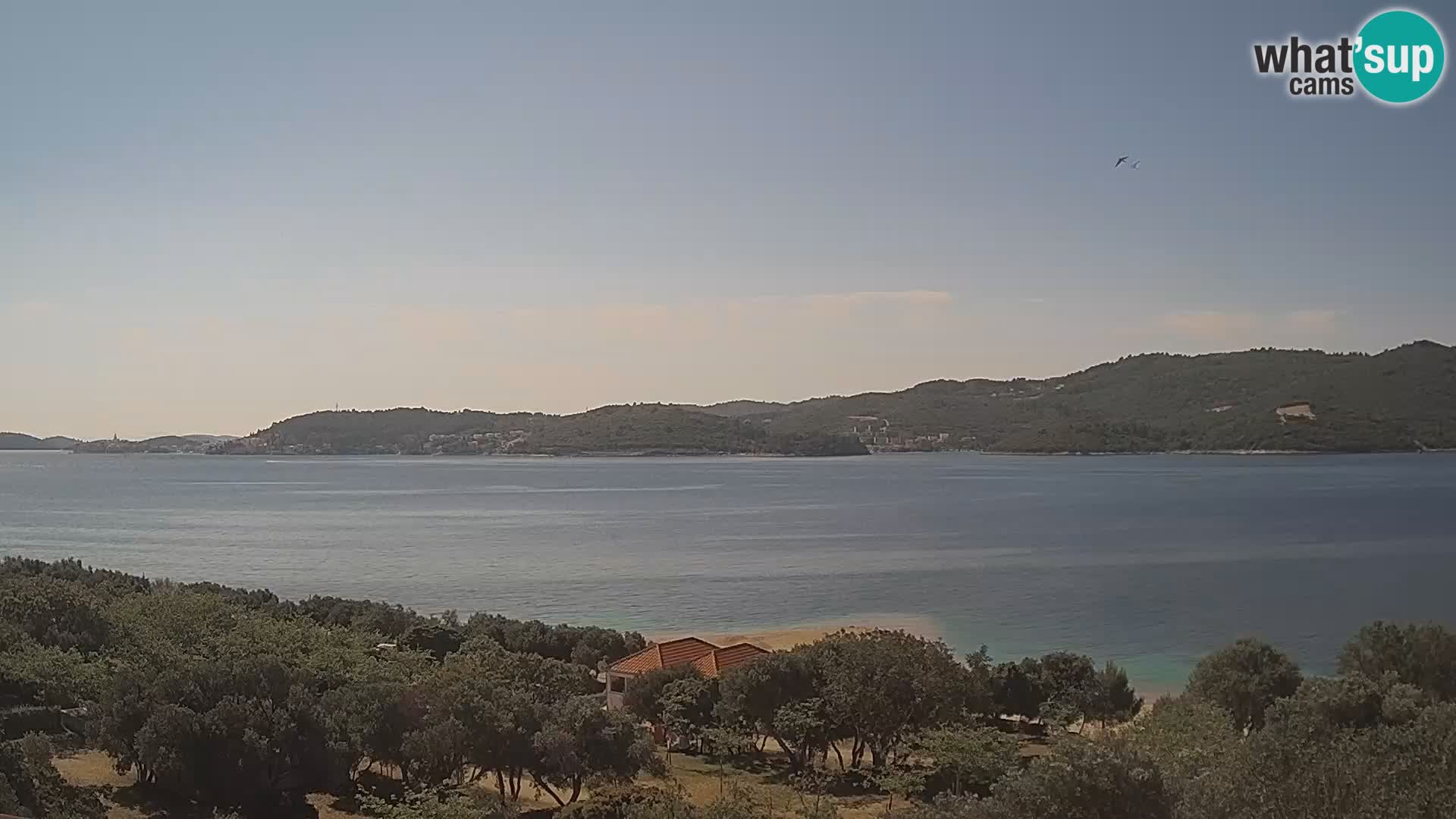 Viganj Windsurf Katesurf  – plaža